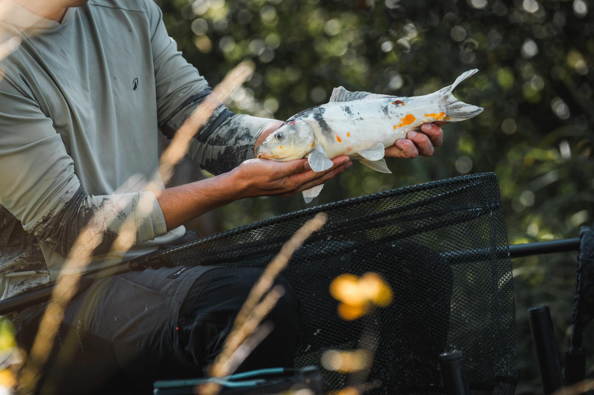 Pêcheur au coup cherchant la carpe.
