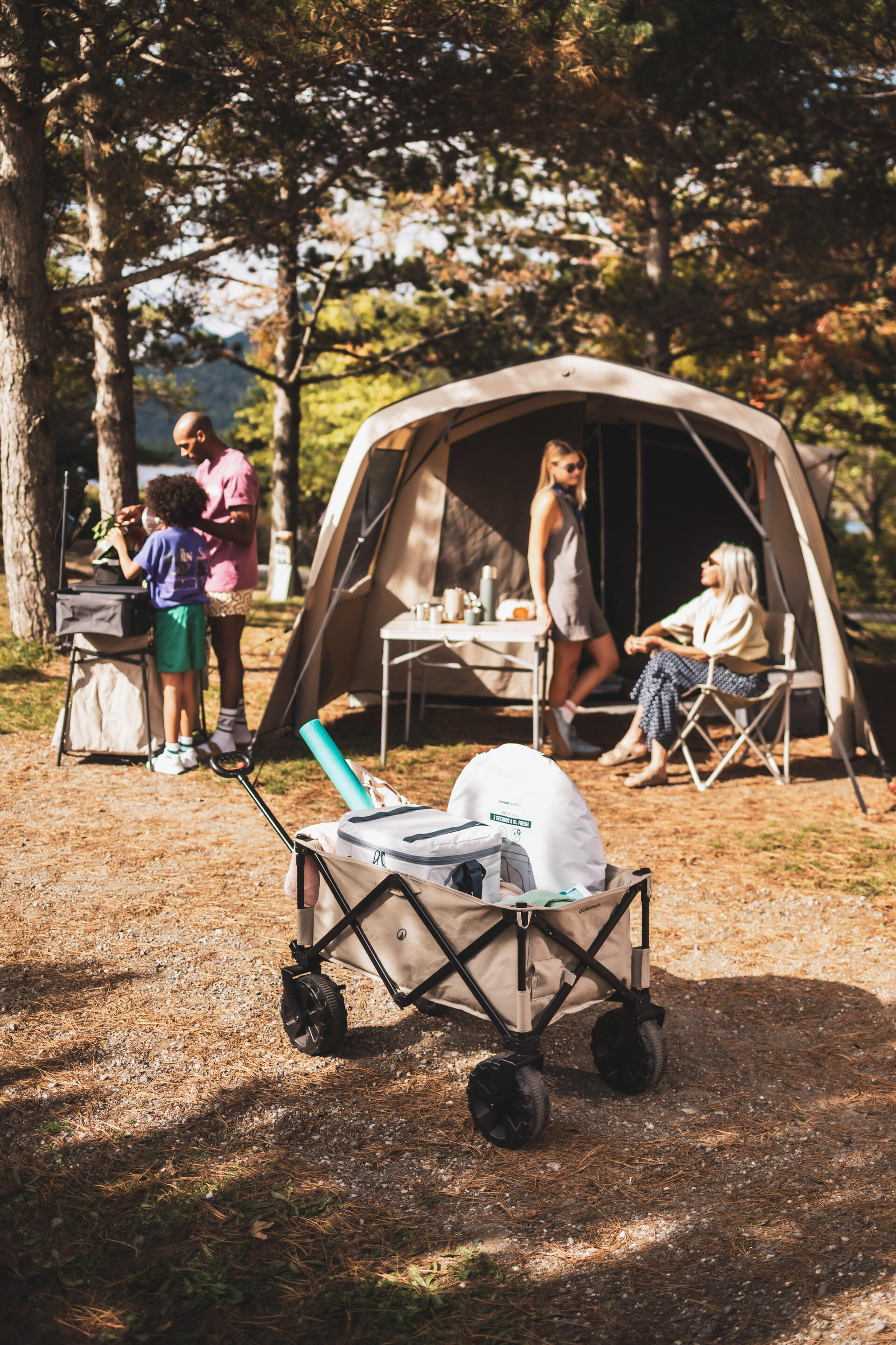 QUECHUA (ケシュア) キャンプ トロリー キャンプ用品運搬用カート 全 