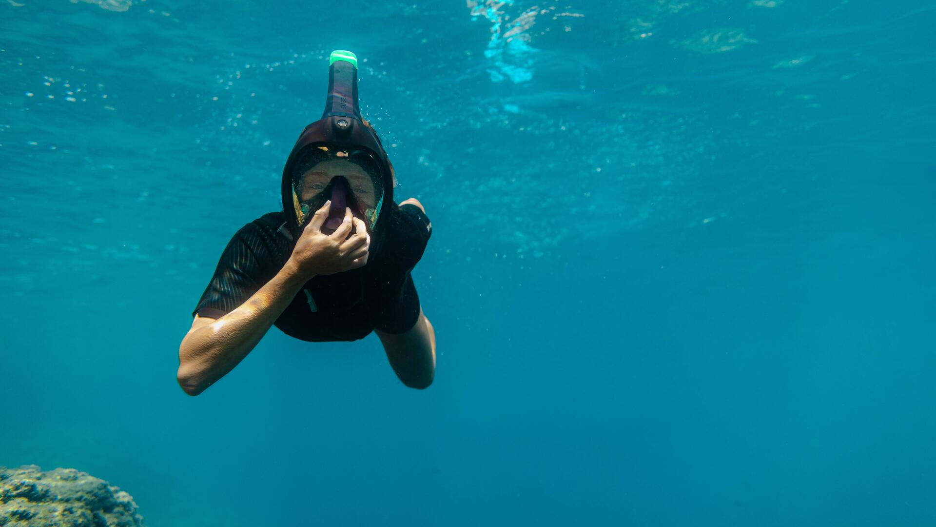 Foto sott’acqua con gli squali pinna nera