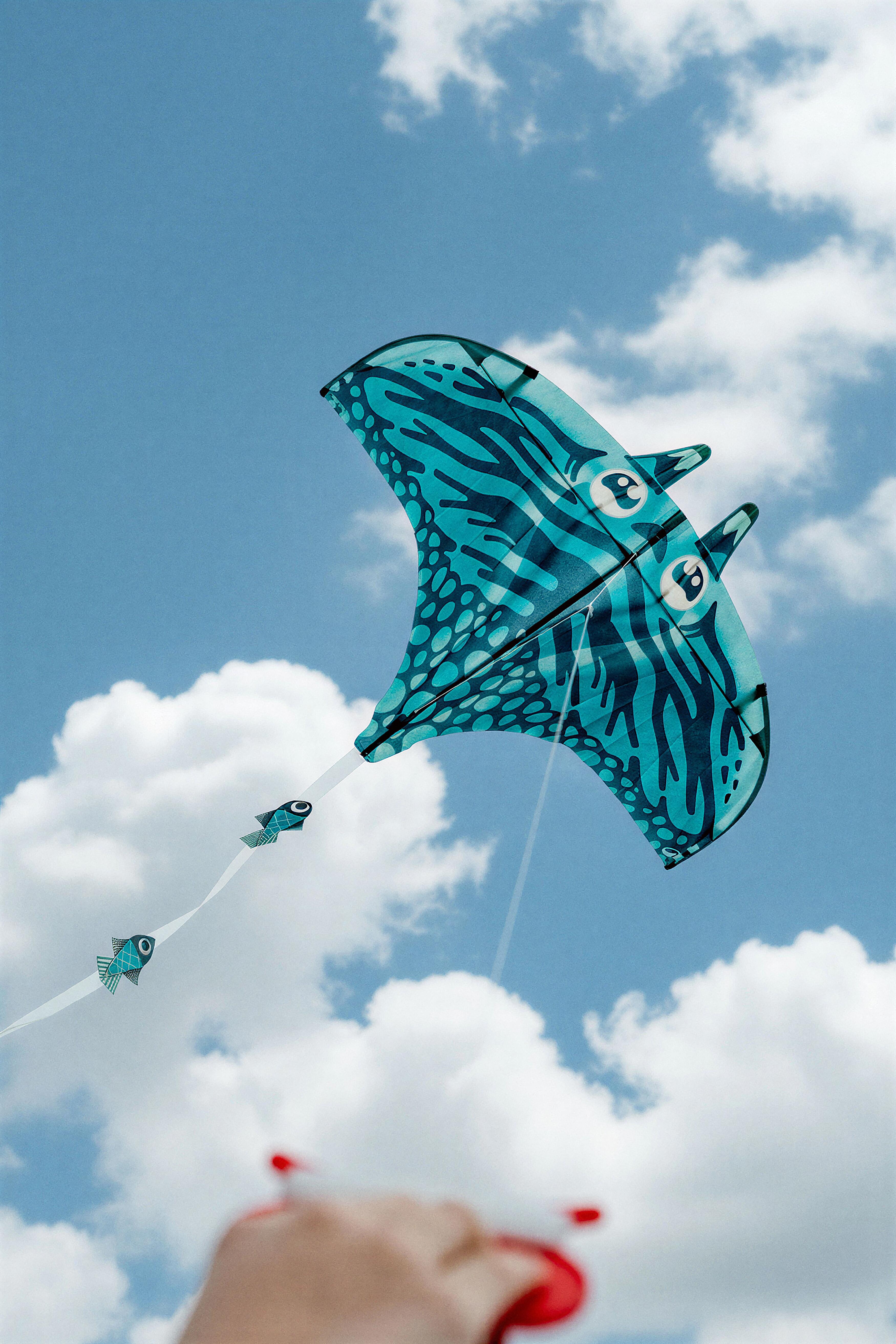 Kids’ Static Kite, MFK 150 Blue Stingray - DECATHLON
