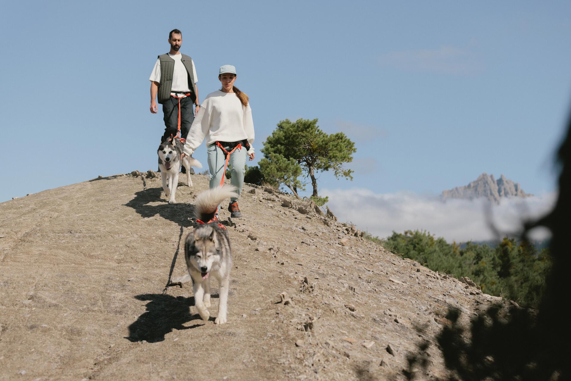 Ne sortez plus votre chien en promenade partez en cani-rando - titre