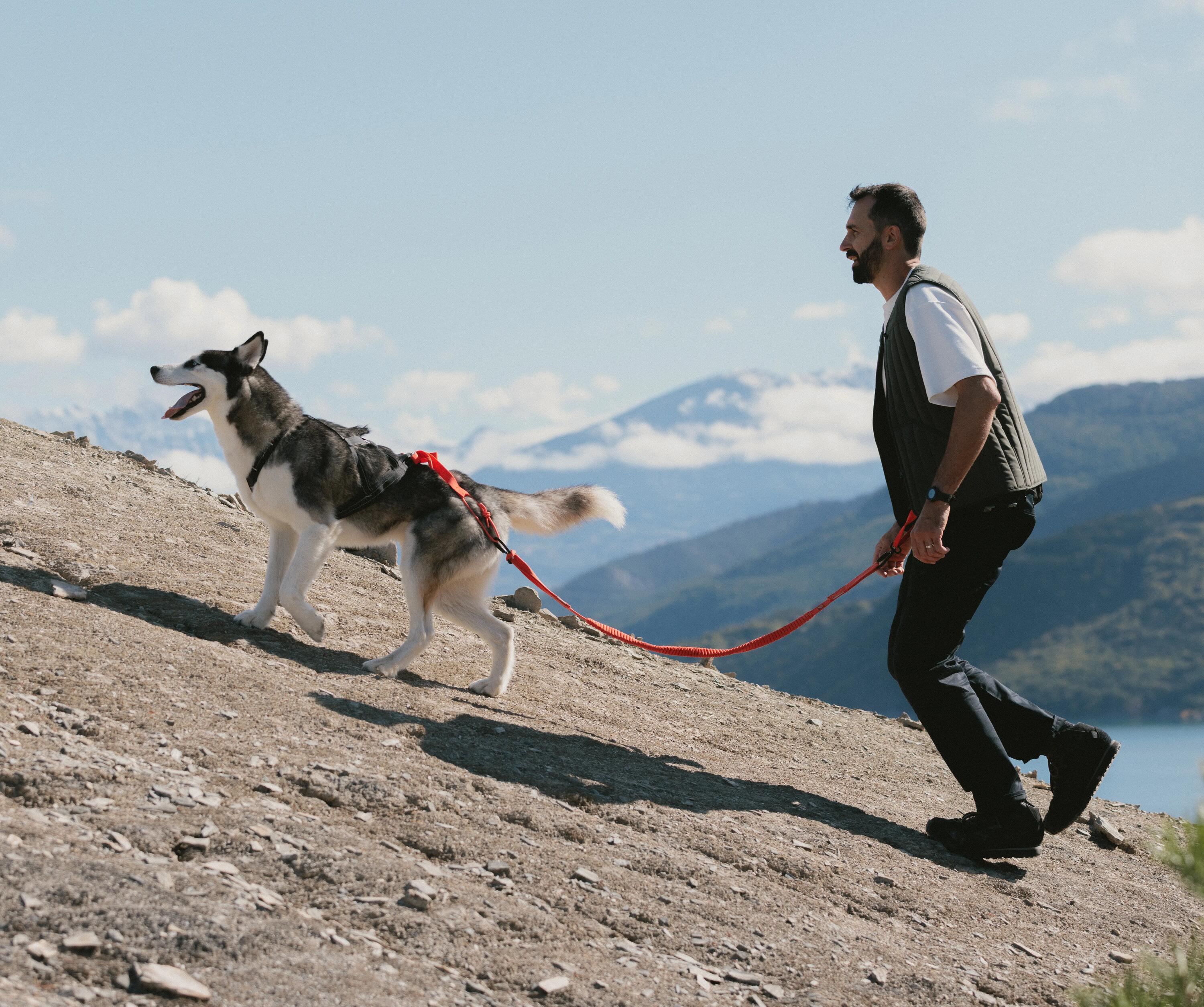 Senderismo, trekking, perro
