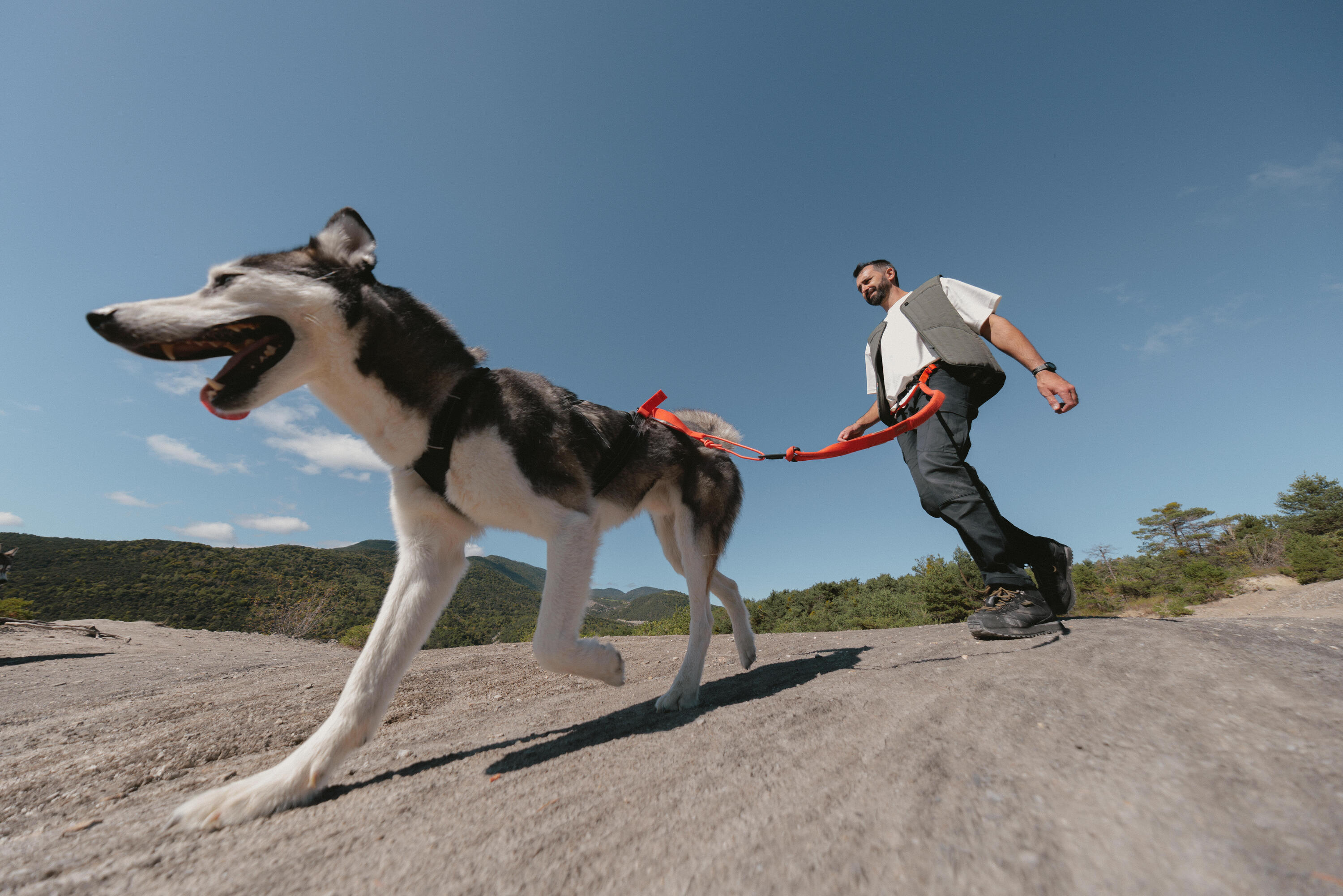 Ein Mann ist mit seinem Hund über eine Canicross Leine verbunden und läuft mit seinem Hund in der Natur