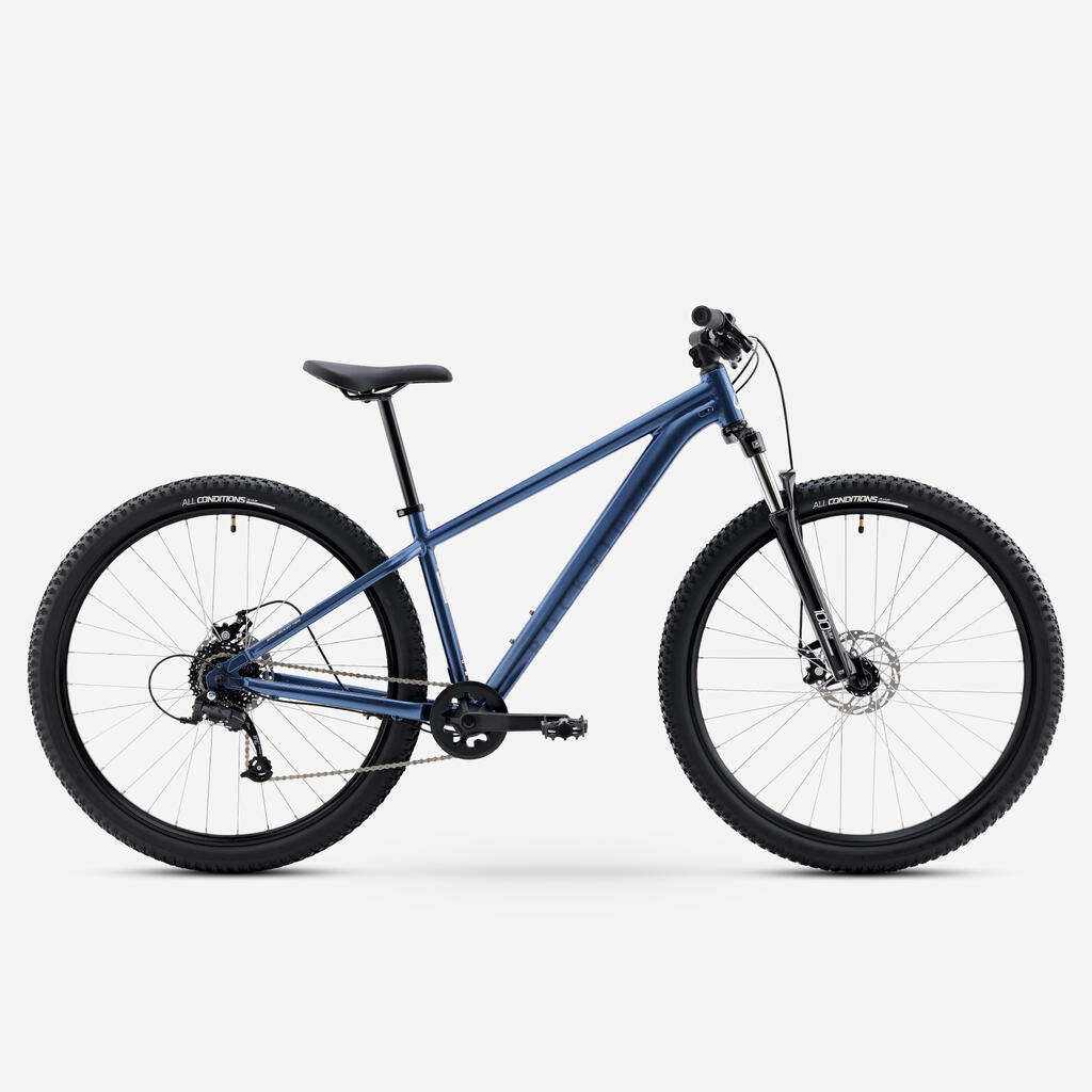 BLEU