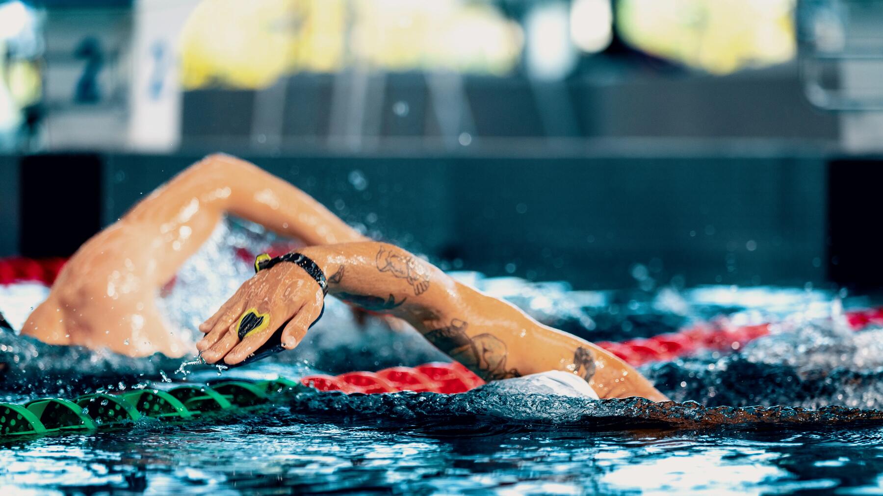 Choisir plaquettes de natation