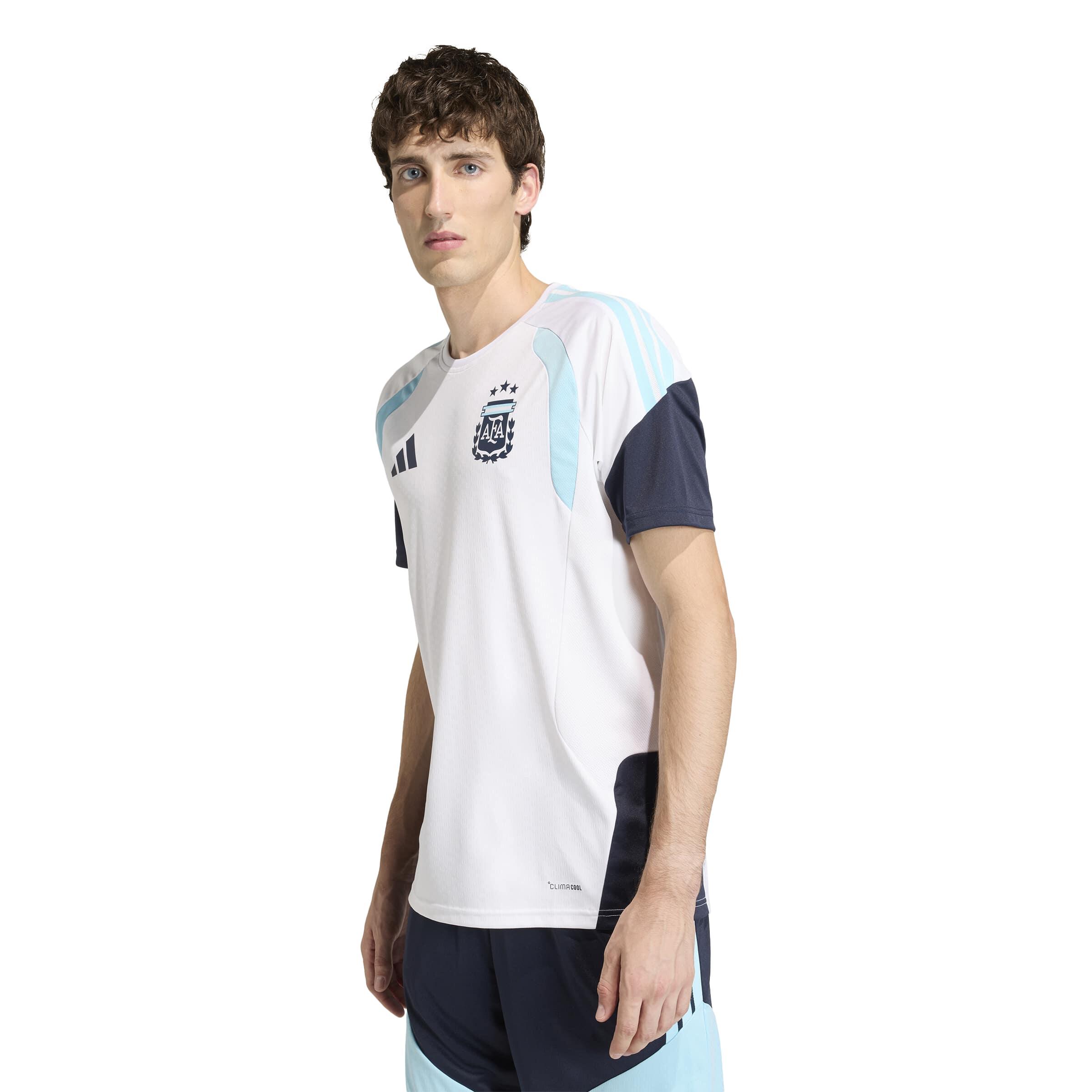 argentina-afa-training-jersey-