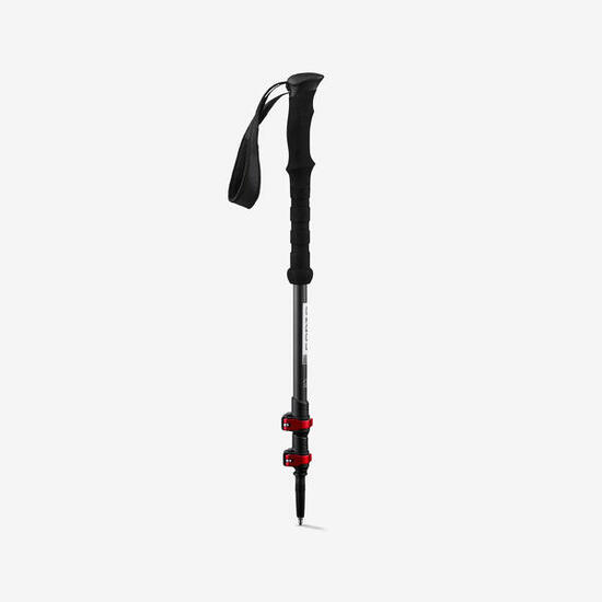 2 BATONS CORTO Fuji Carbon