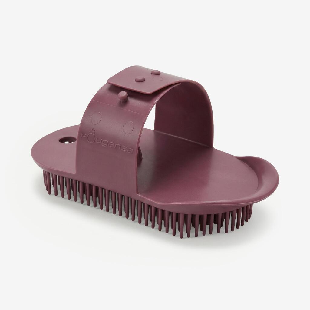 Vijoličasto majhno čohalo za nego konjev SCHOOLING za otroke 