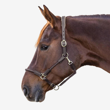 Licol en corde NEVADA cheval et poney