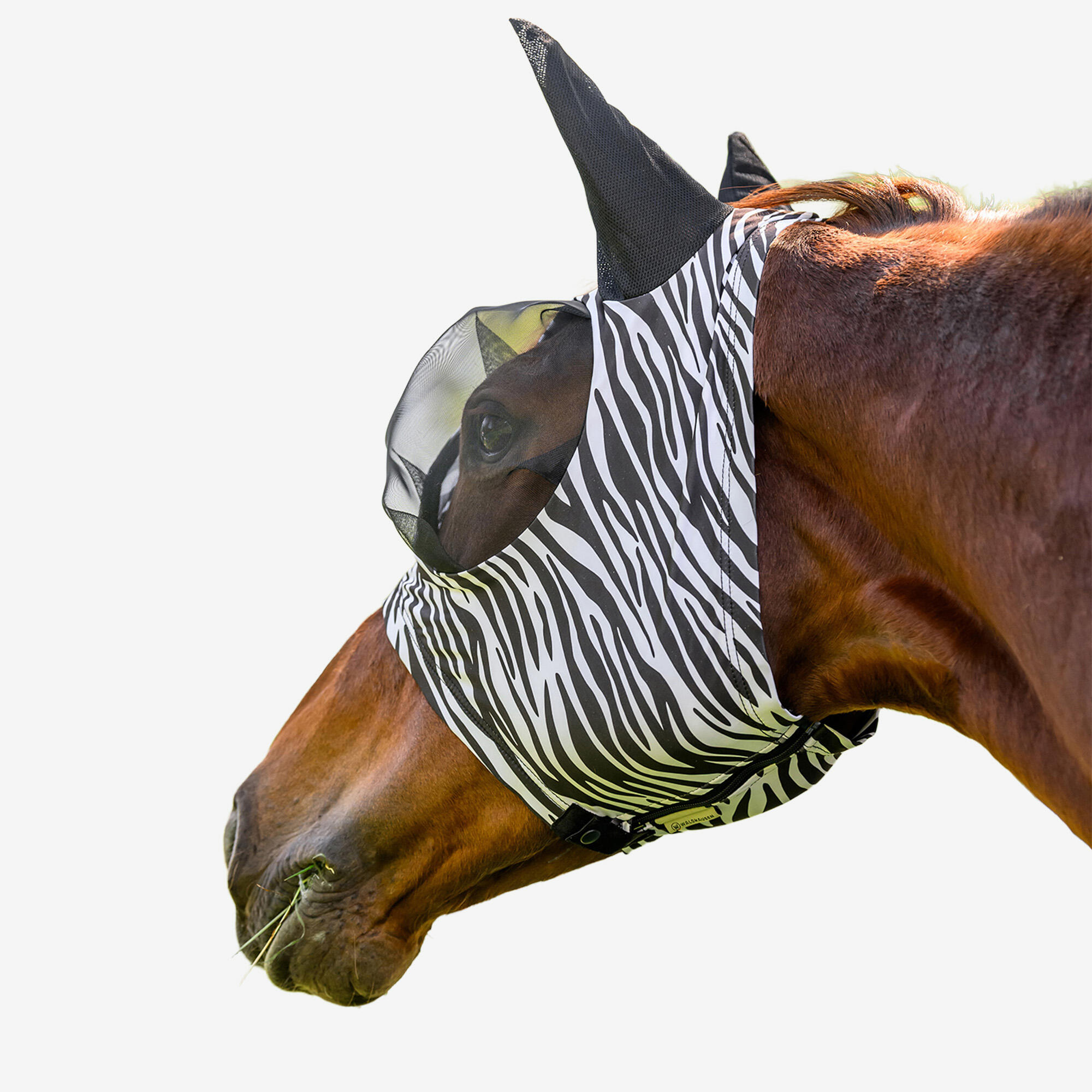 Vliegenmasker zebrastrepen 2/4