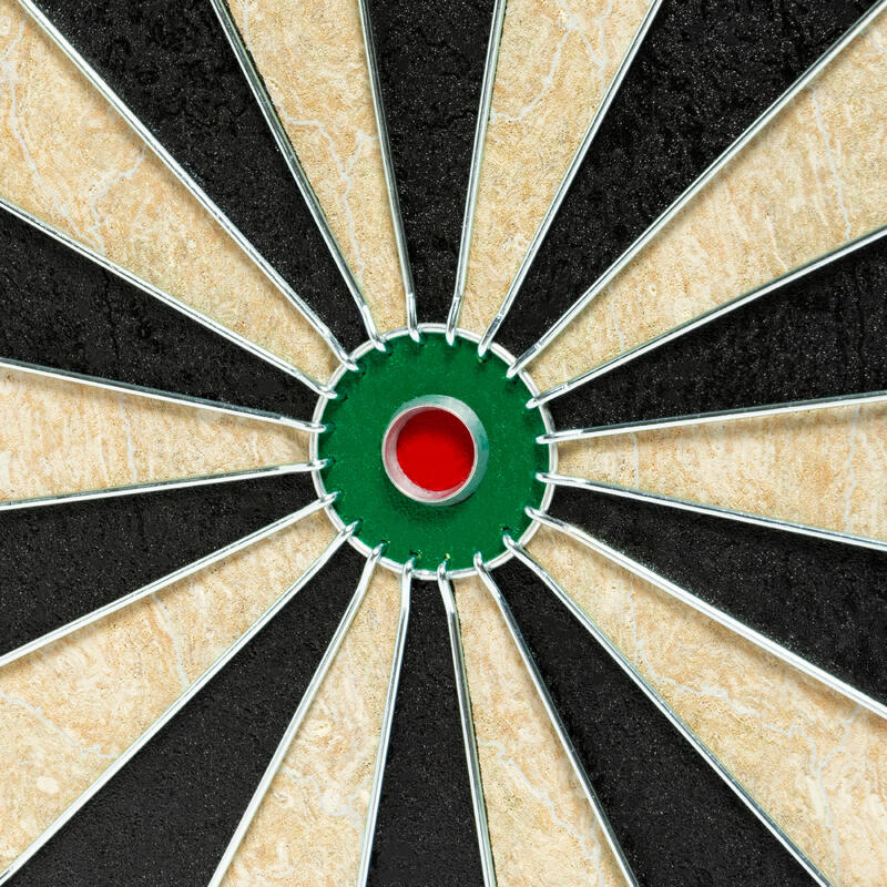 ȚINTĂ DARTS VÂRFURI OȚEL TD 500 HOME