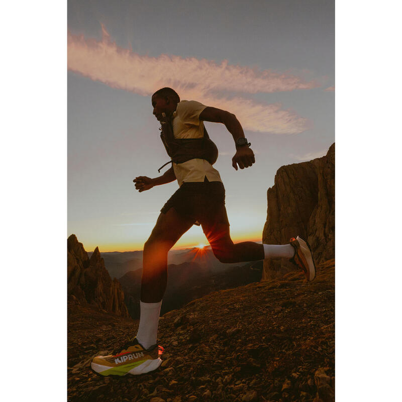 Pánské běžecké tričko Run 900