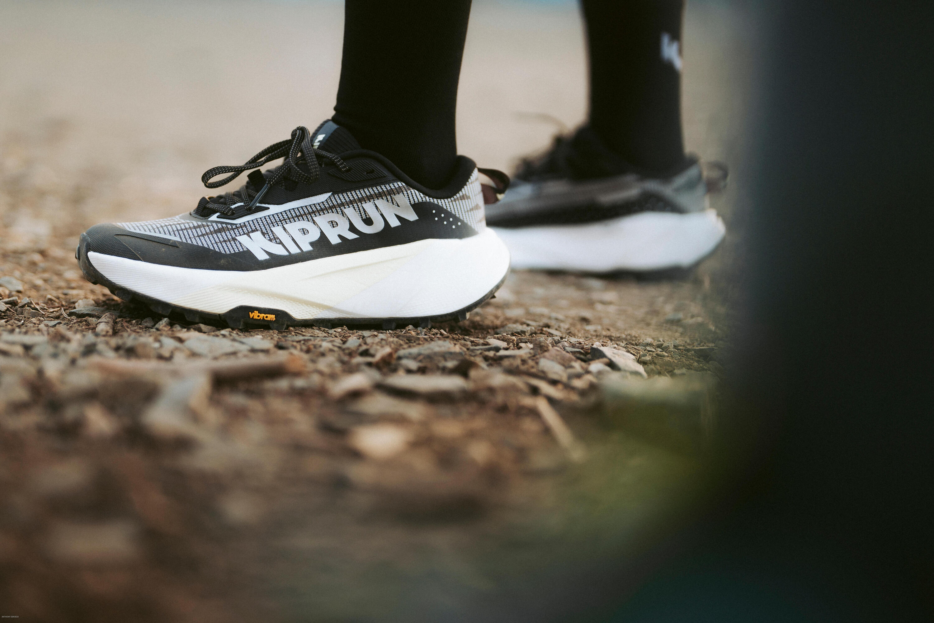 Buty do biegania w terenie damskie Kiprun Kipsummit Max 11/17