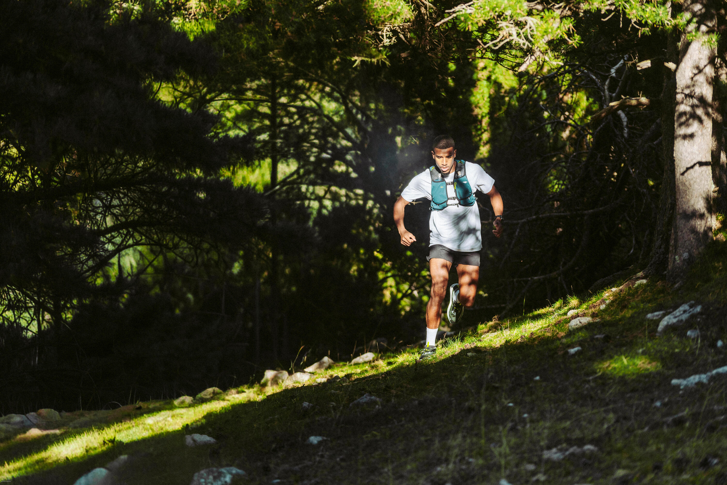 Trail-T-Shirt für Herren, Kiprun Run 500 weiss 10/10