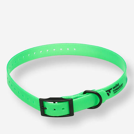 COLLIER POUR CHIEN VERT X-PERT