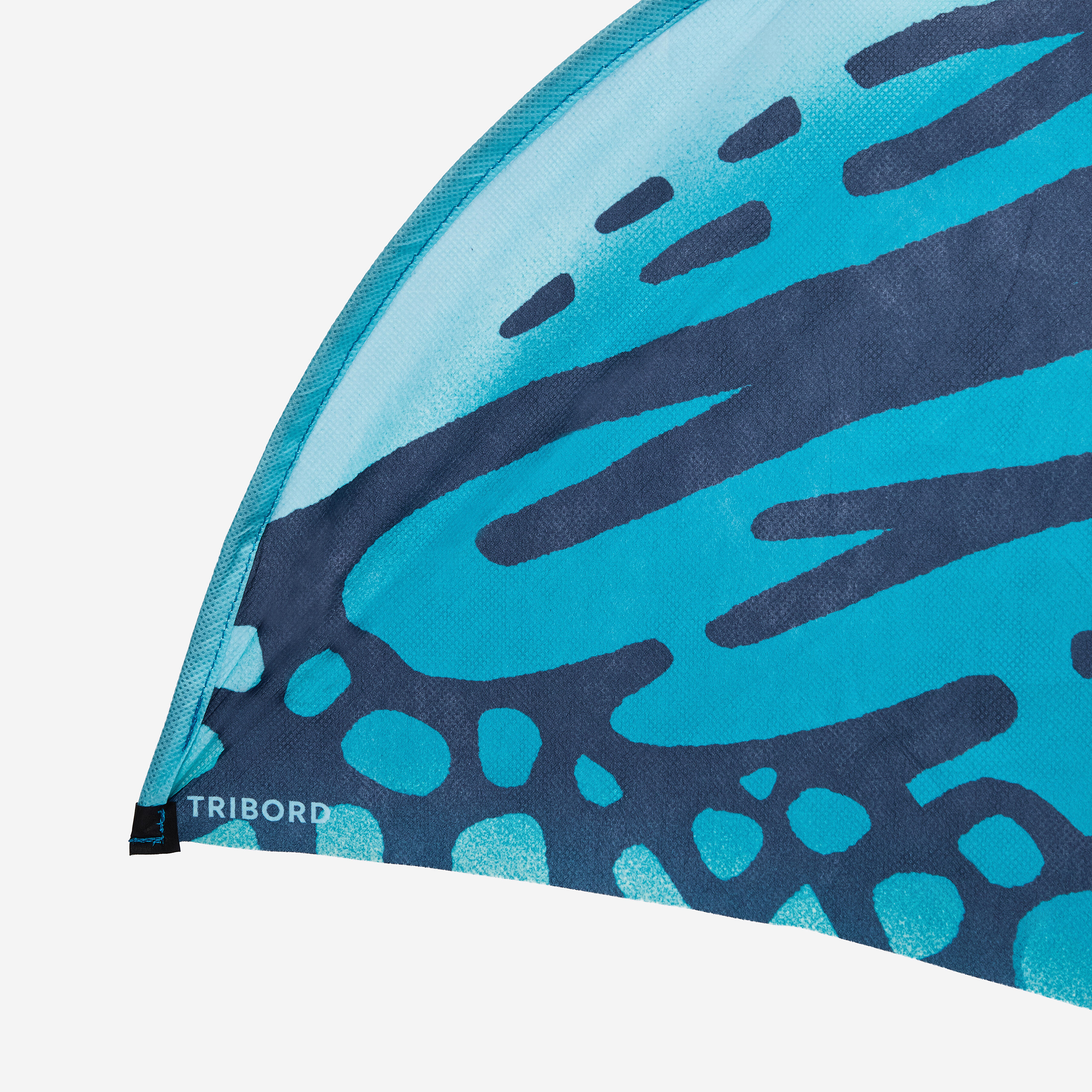 Kids’ Static Kite, MFK 150 Blue Stingray - DECATHLON