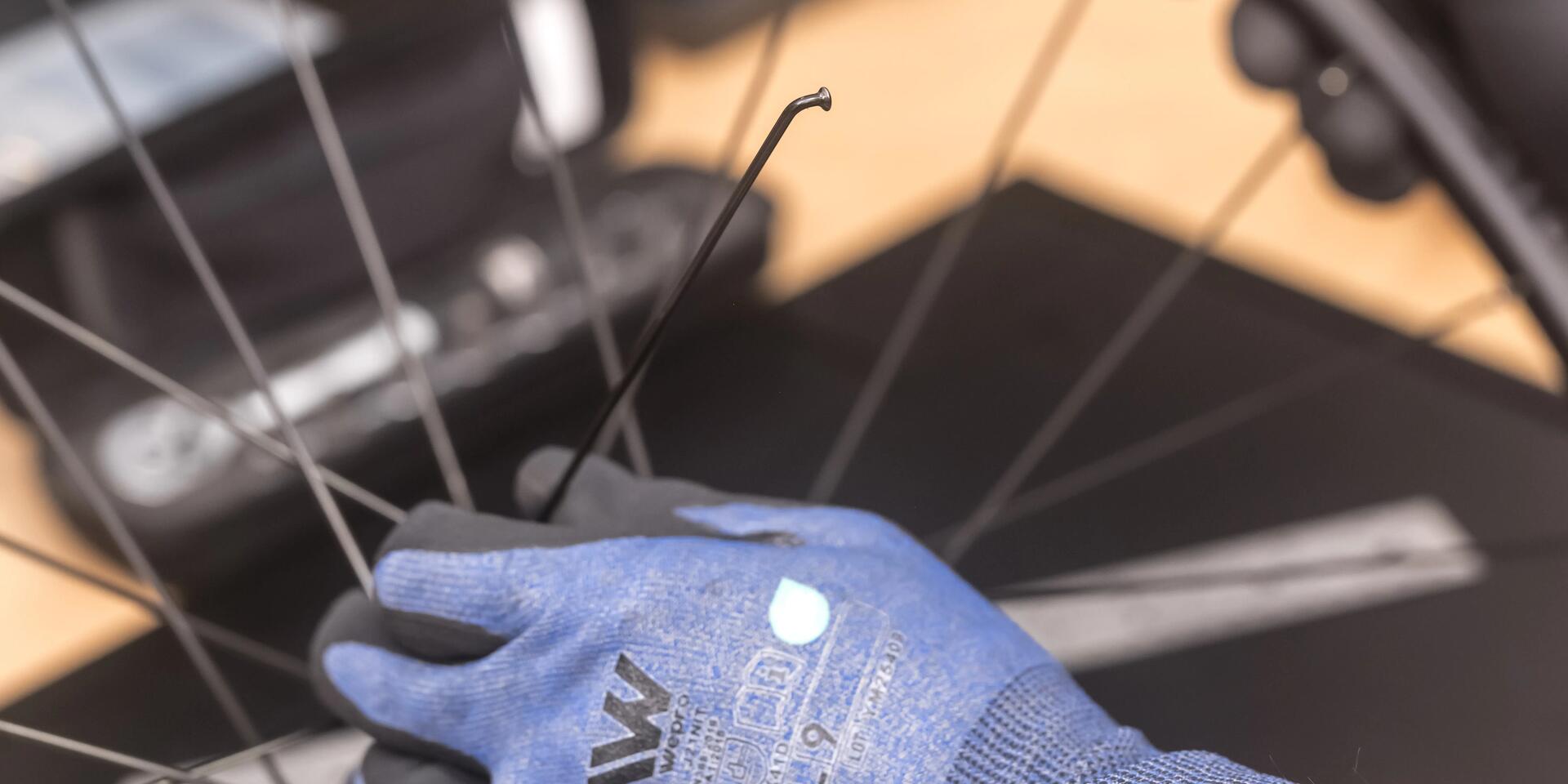 VAN RYSEL EDR CF DB SHIMANO 105 WOMAN (2021)