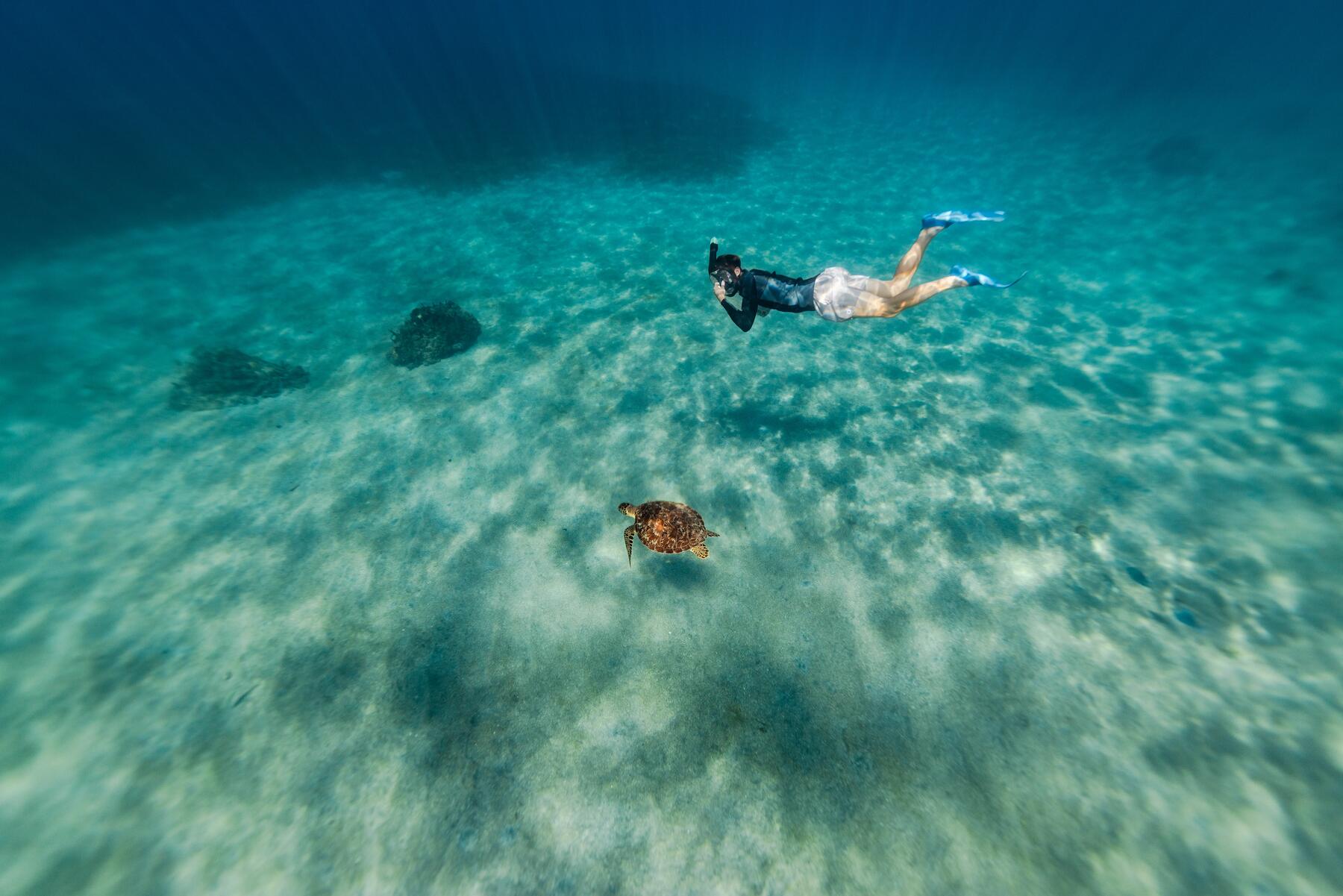 hombre buceando con snorkel