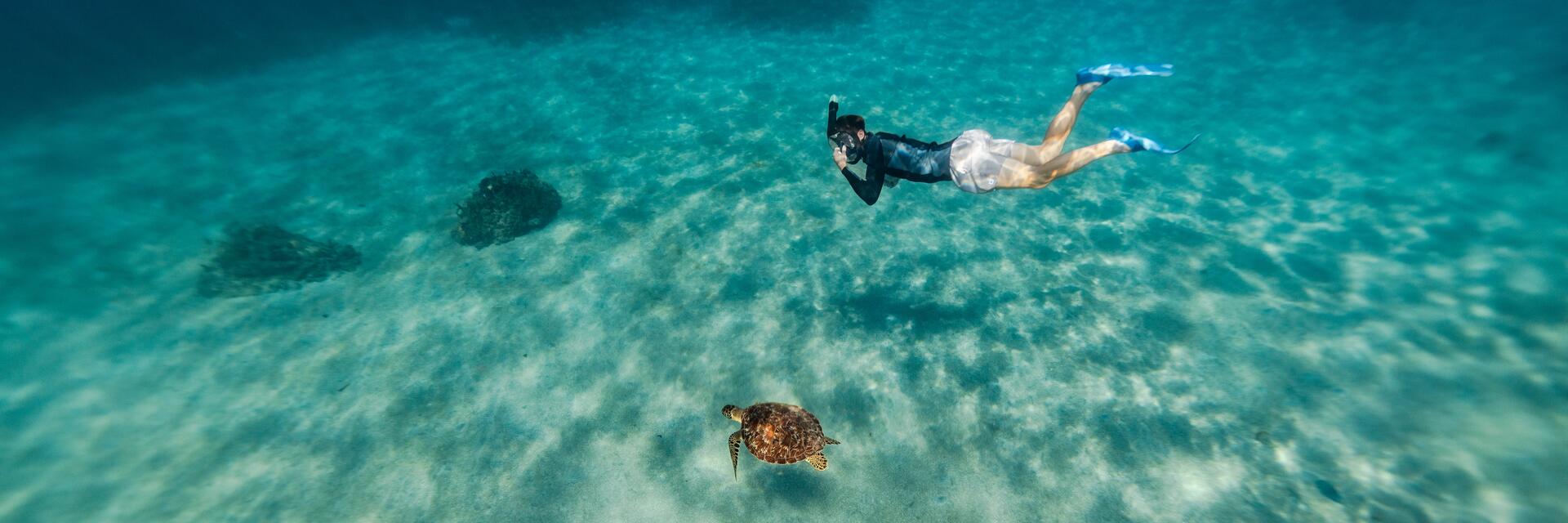 Ein Mann taucht mit Tauchflossen neben einer Schildkröte