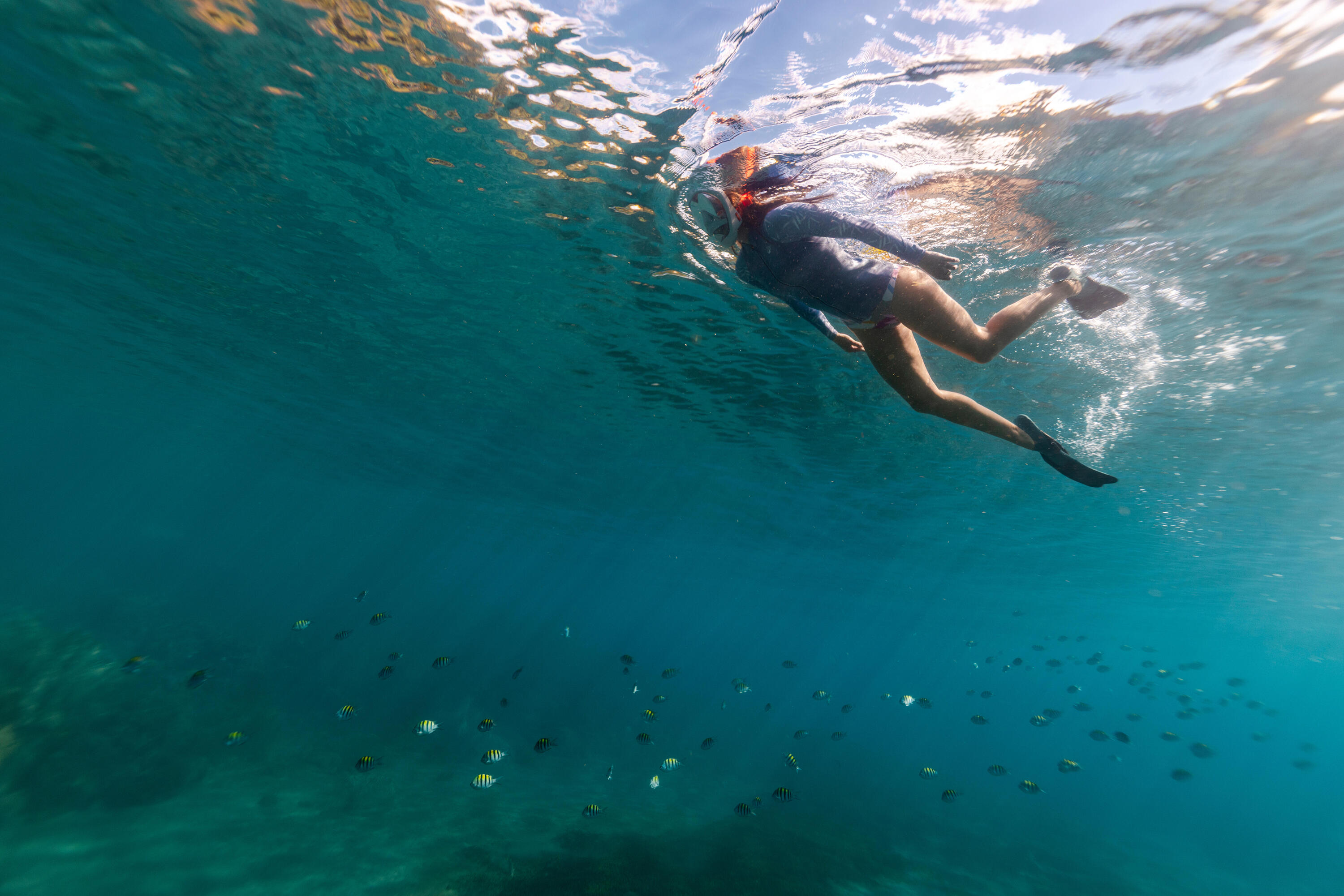 Máscara de snorkeling imersão Easybreath 900, Cinza Laranja 15/19