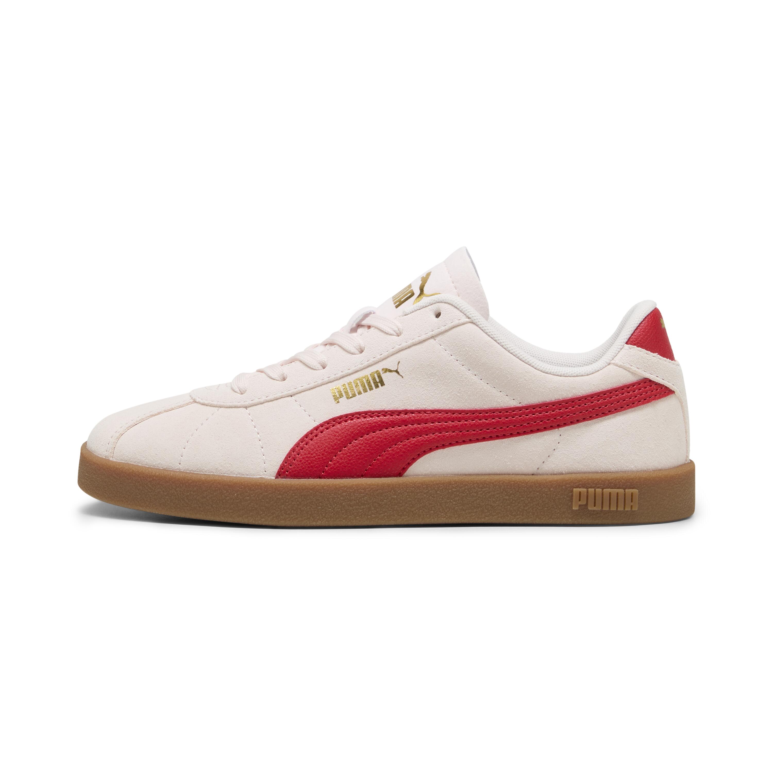 PUMA picture