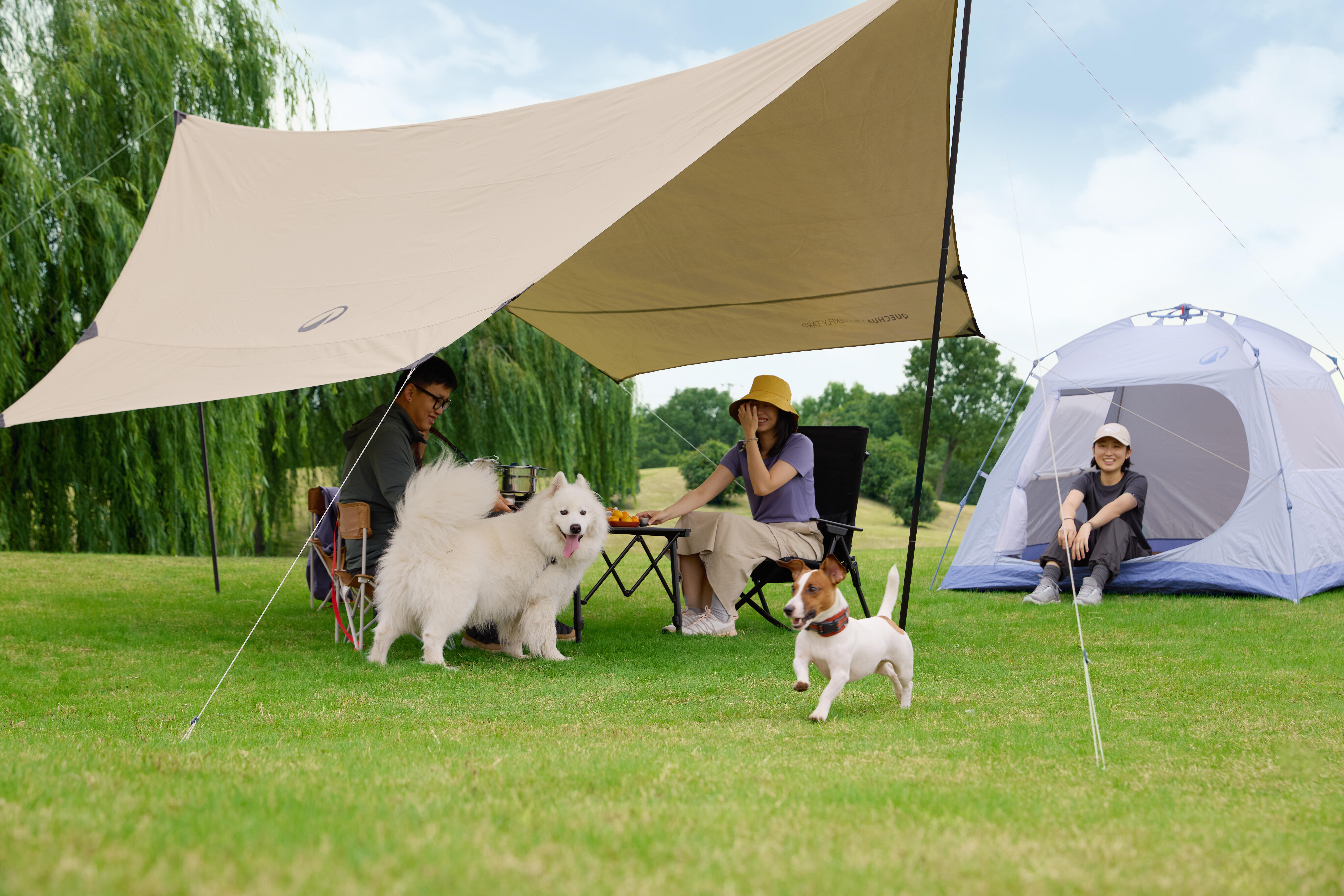 DAY CAMP BUTTERFLY TARP FRESH