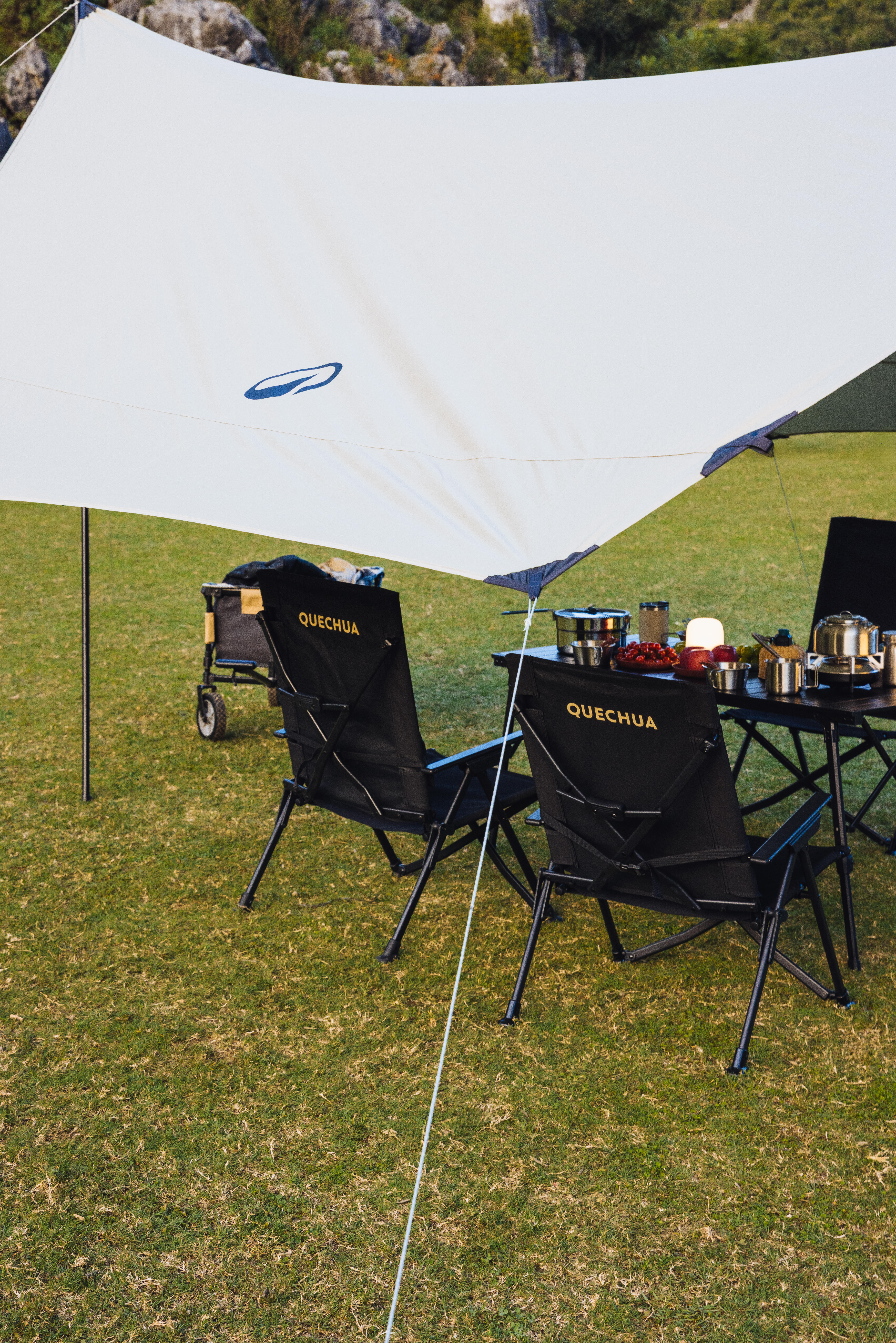 DAY CAMP BUTTERFLY TARP FRESH