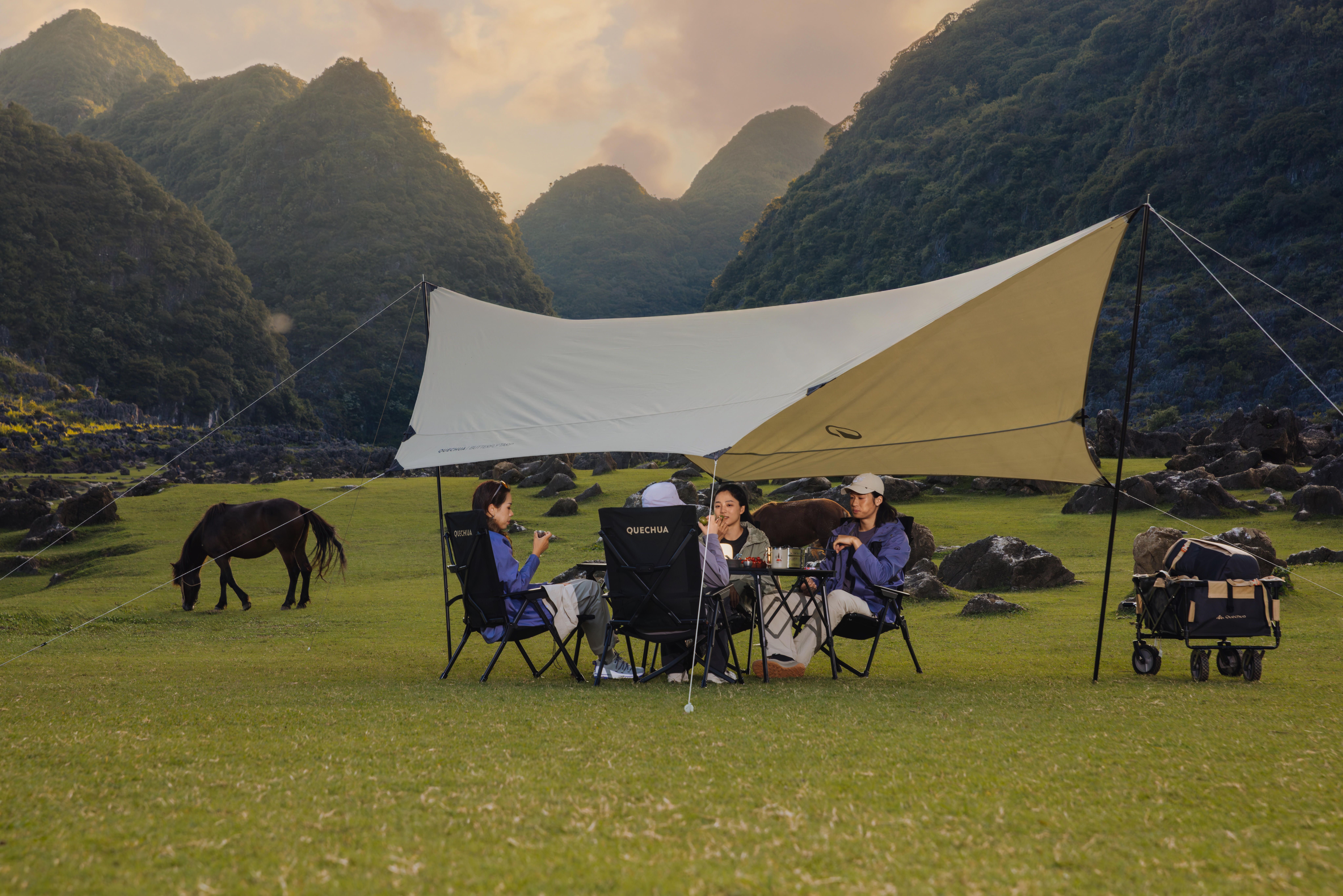 DAY CAMP BUTTERFLY TARP FRESH
