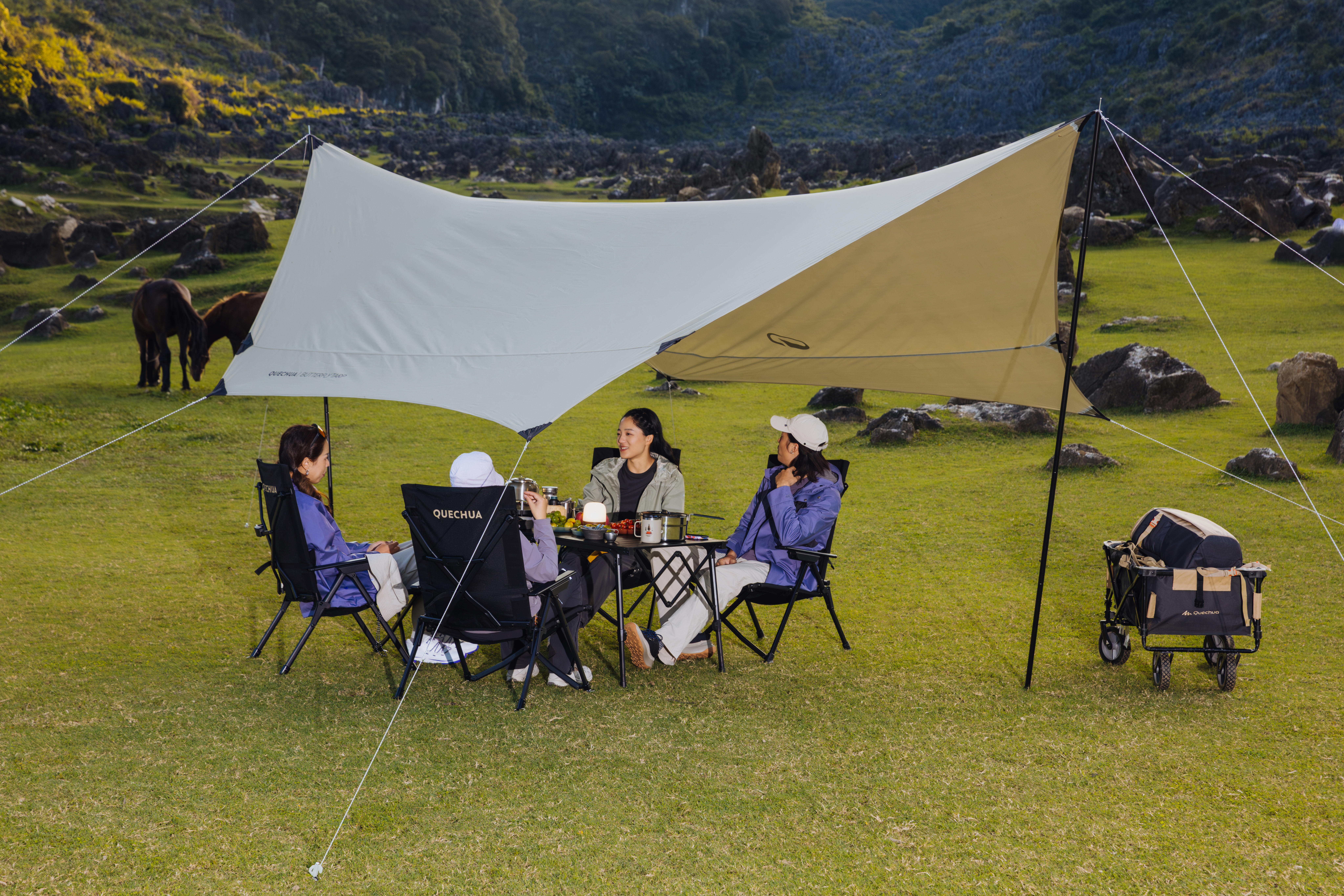 QUECHUA (ケシュア) キャンプ アームチェア リクライニング コンパクト