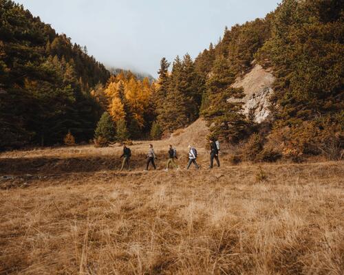 Wanderwege an der Mosel: Ein schmaler Pfad führt durch einen extremen Steilhang!