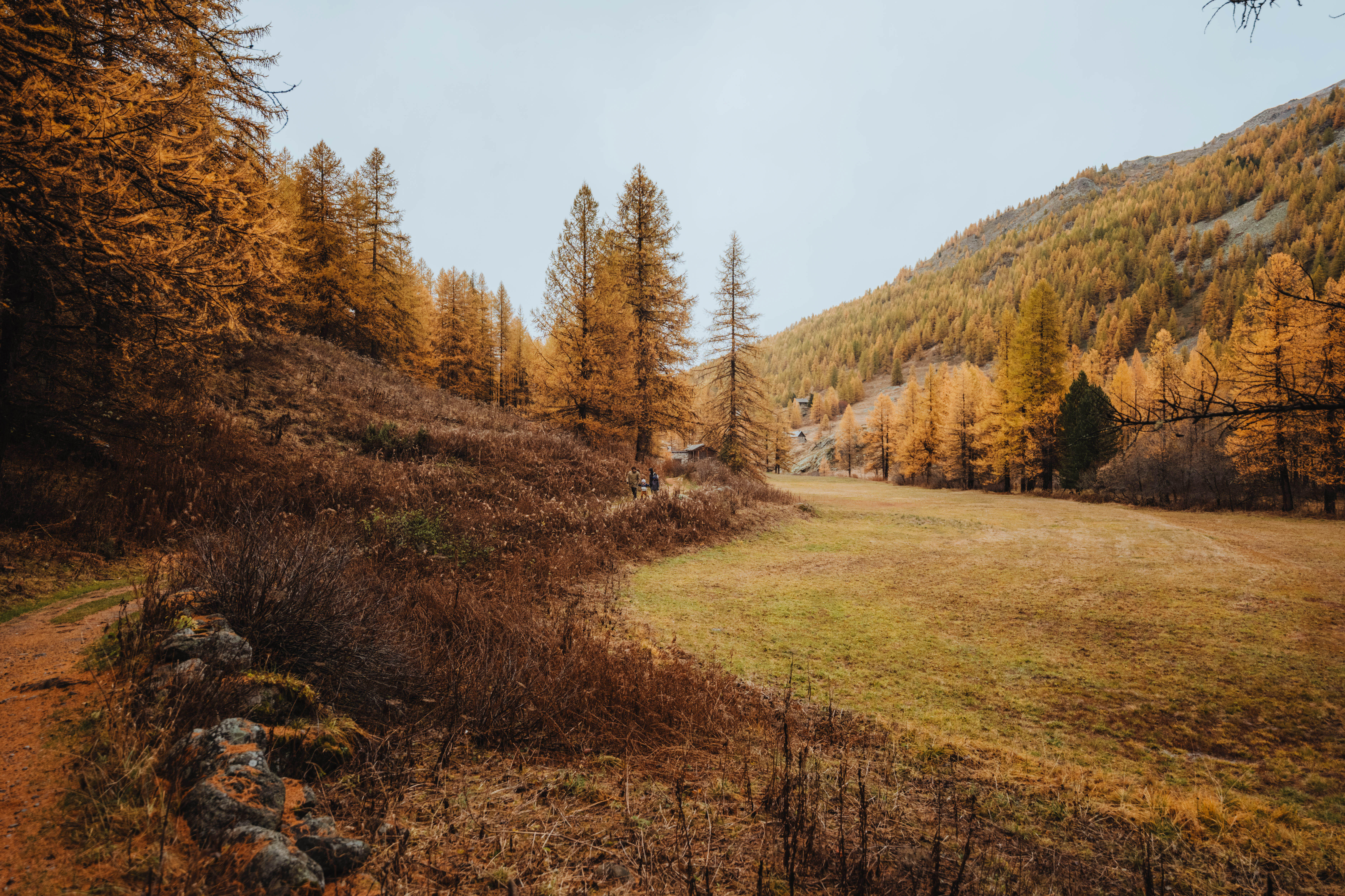 Kids’ Waterproof Hiking Jacket, MH 500 Age 2–6 - QUECHUA