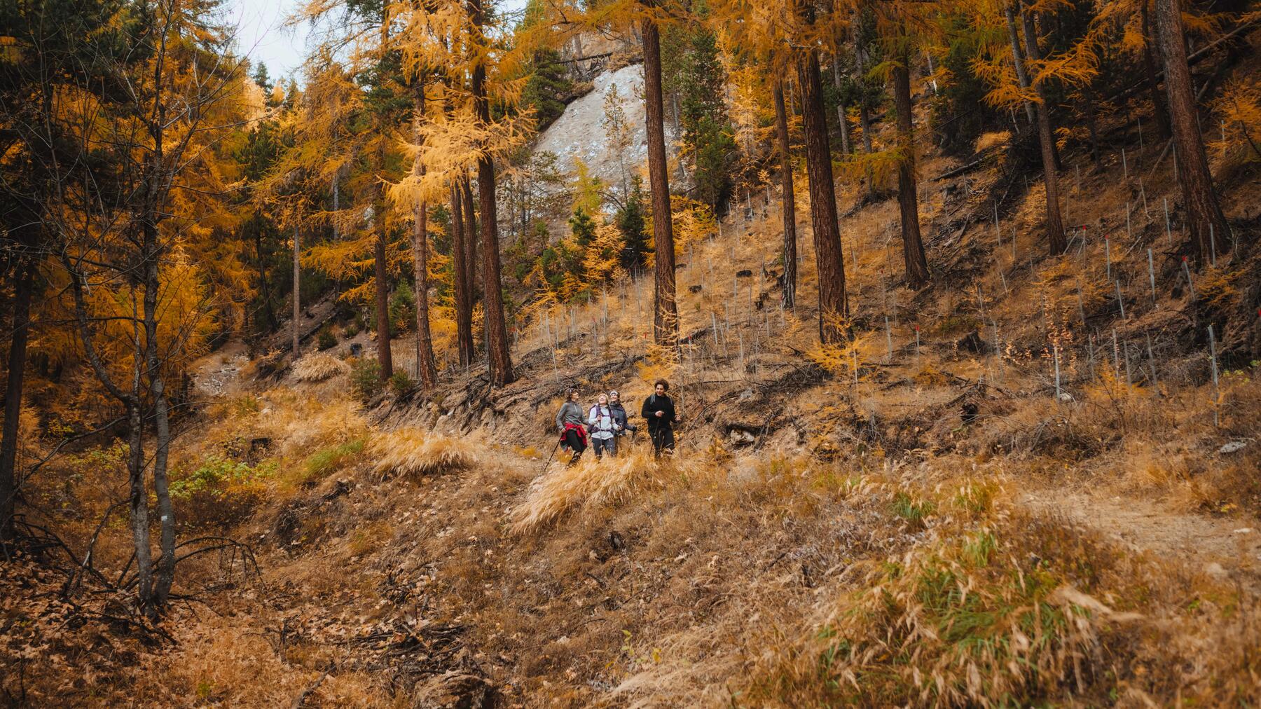Erfahre hier alles Wissenswerte über das Wandern in der Fränkischen Schweiz!