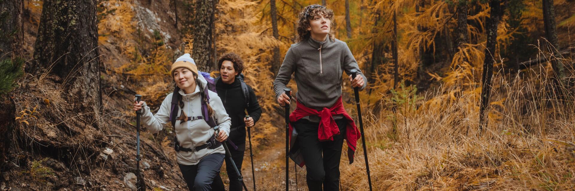 Wanderweg durch einen dichten Mischwald in der Eifel!