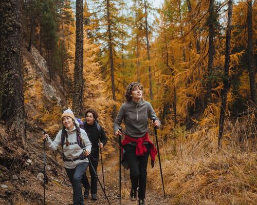 Wandern & Trekking in der Eifel: Routen & Tipps