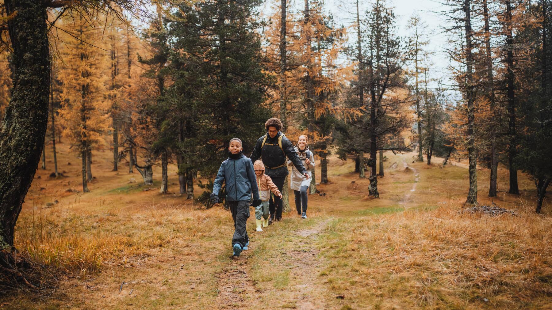 Gelbe Wanderschilder markieren die Routen für das Wandern in Süddeutschland!