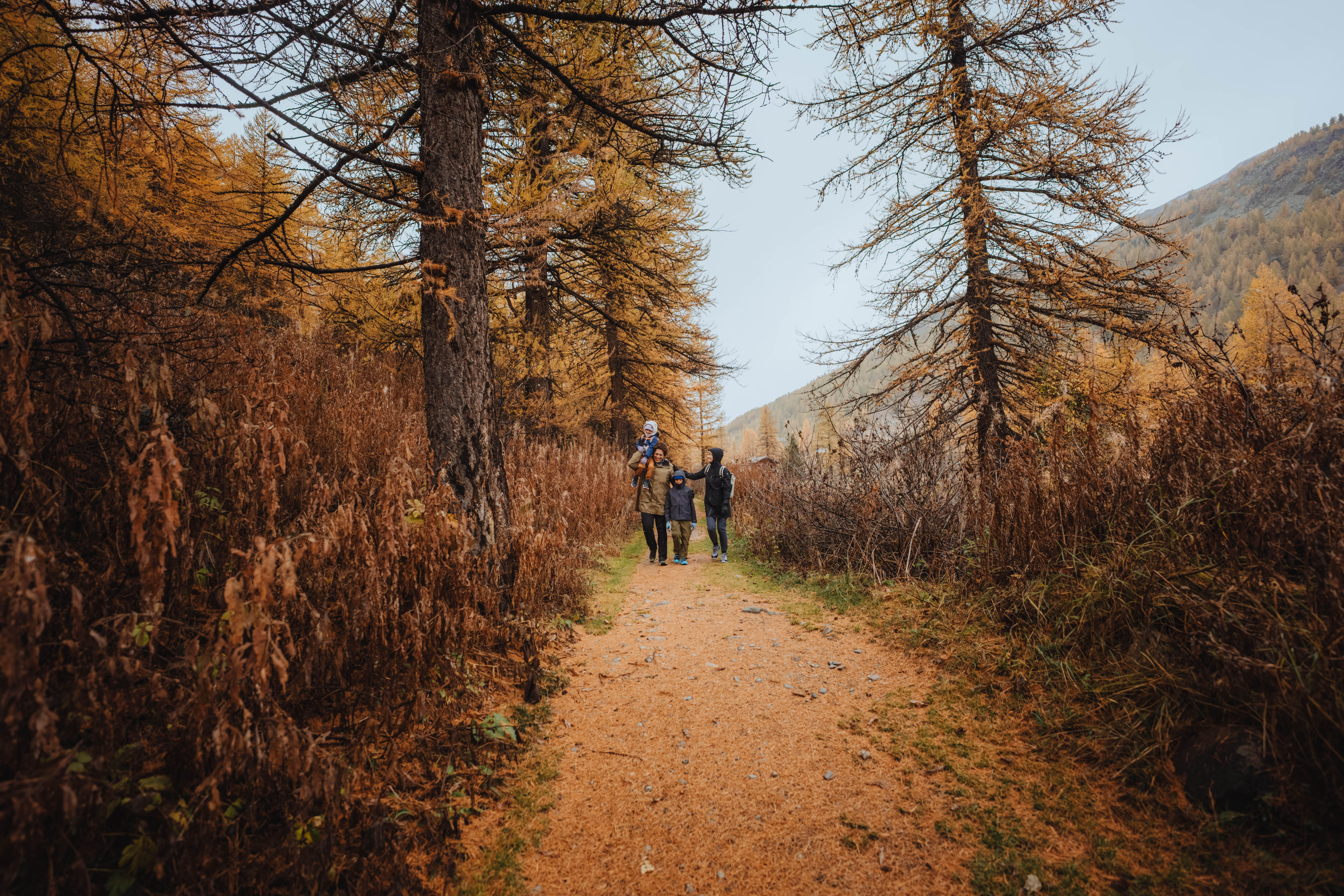 Kids’ Waterproof Hiking Jacket, MH 500 Age 2–6 - QUECHUA