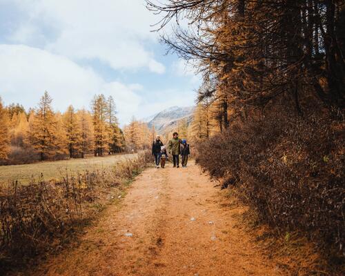 Wandern in der Fränkischen Schweiz zwischen Felsen und Burgen
