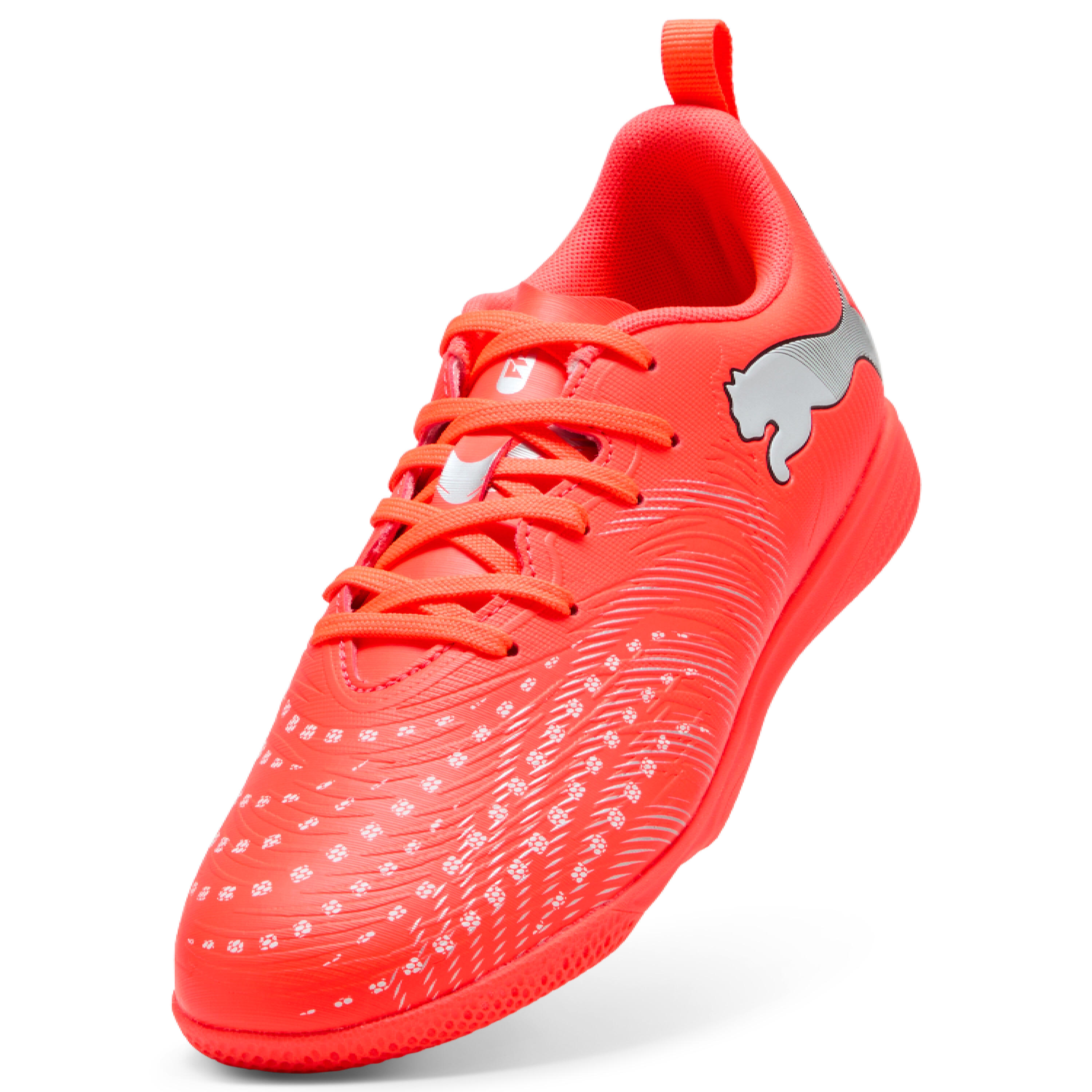 PUMA picture