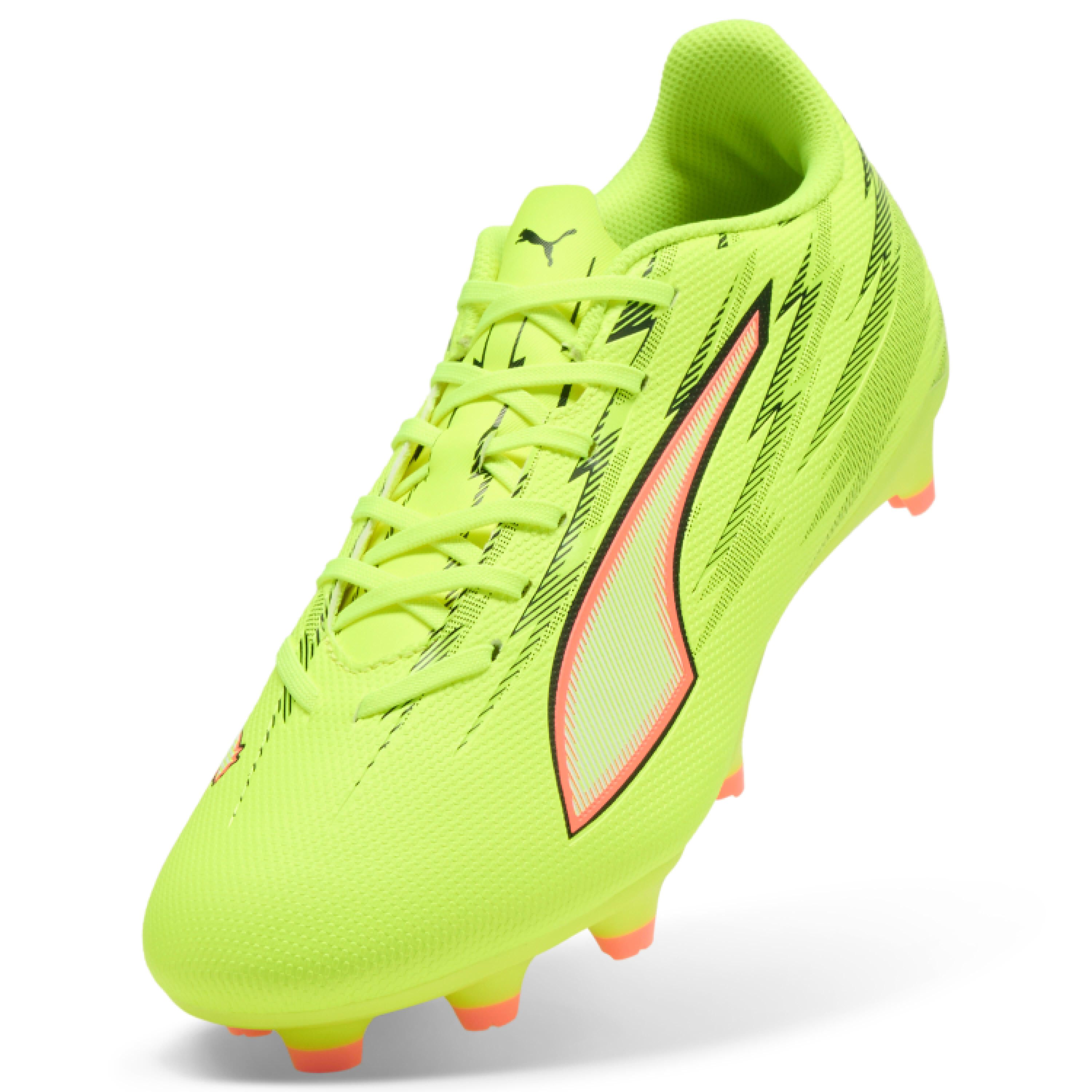 PUMA picture