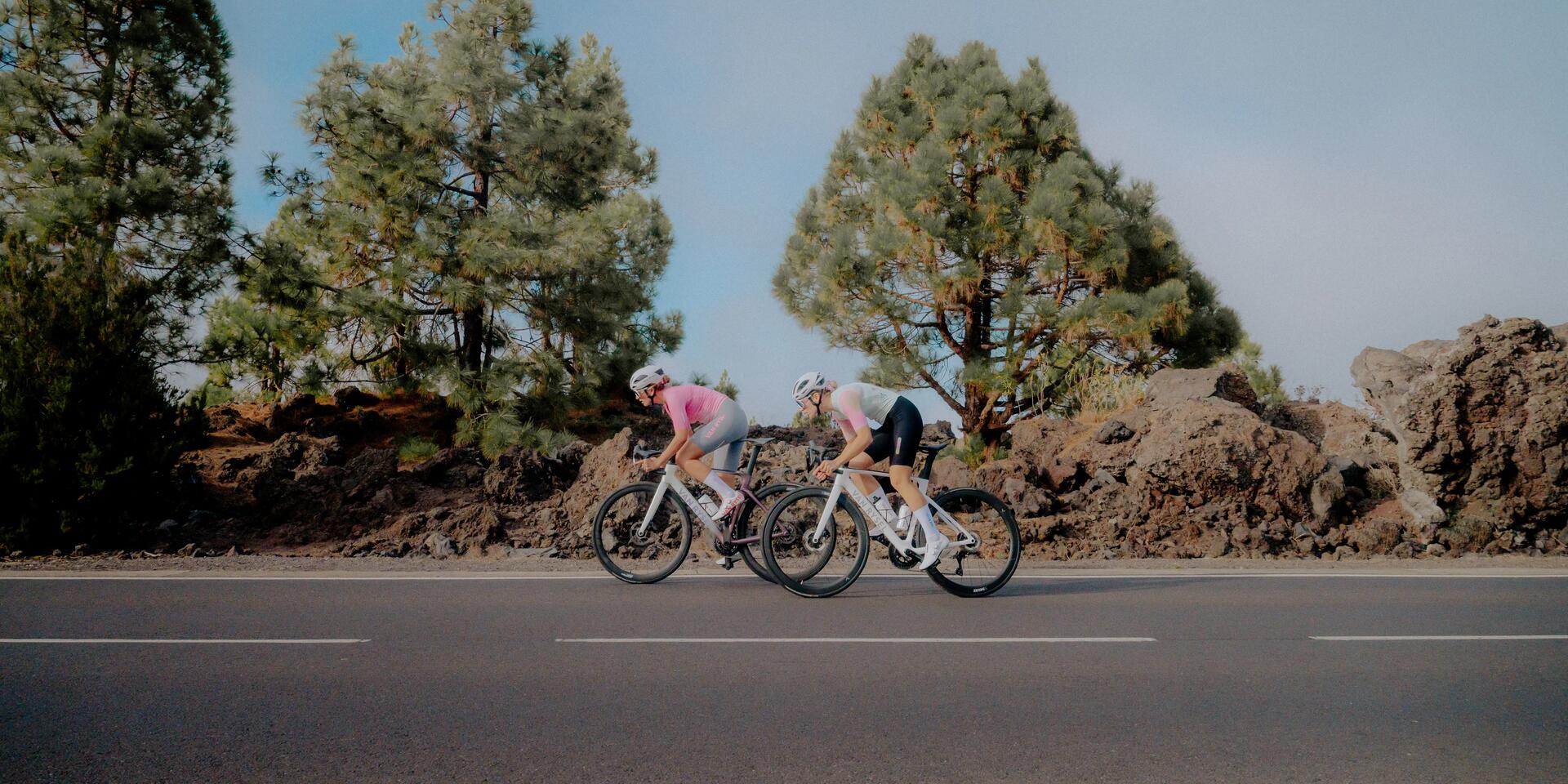 YARIŞ AMAÇLI YOL BİSİKLETLERİ SSH 