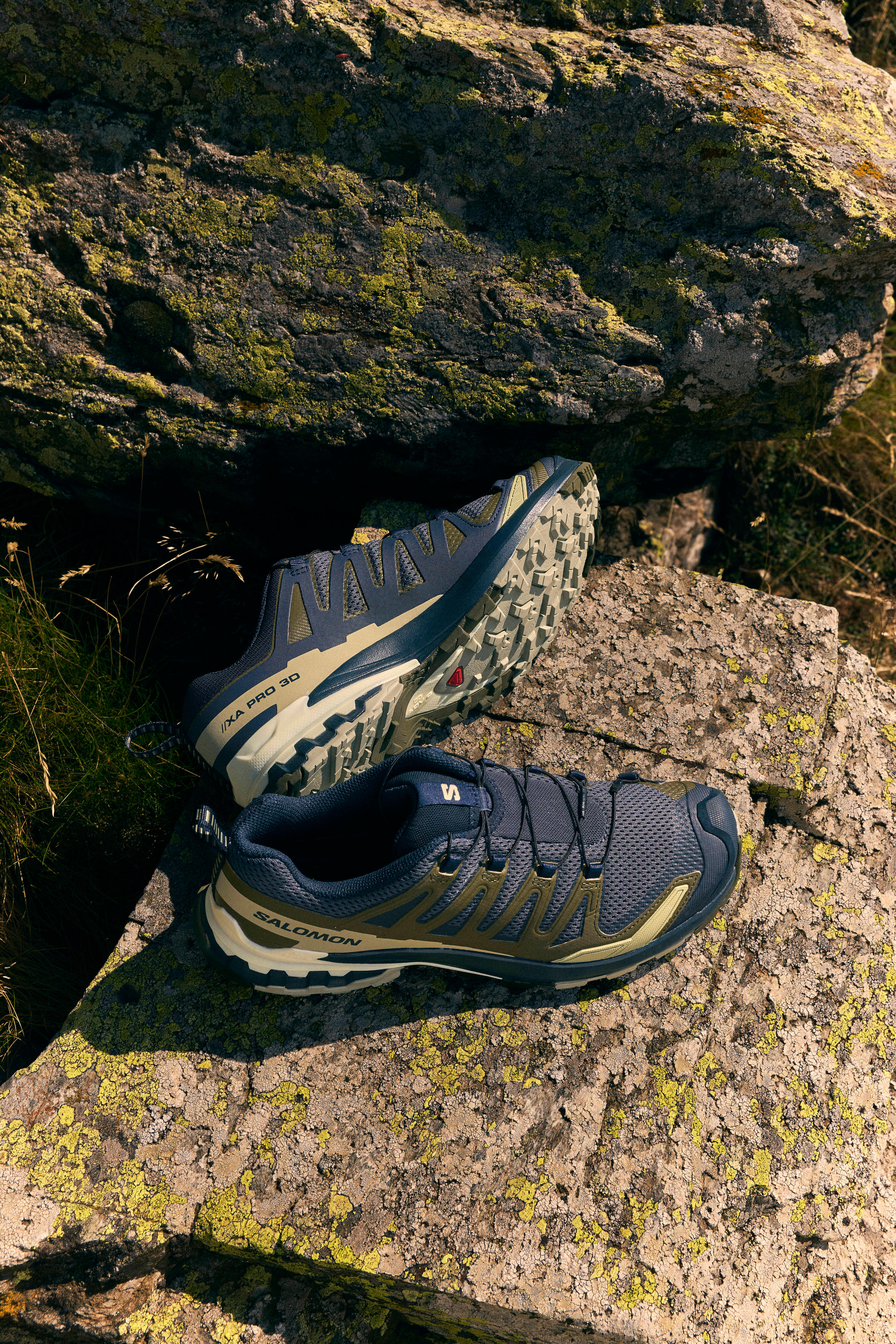 Chaussures de randonnée  montagne - Salomon XA PRO 3D V9 - homme 8/13