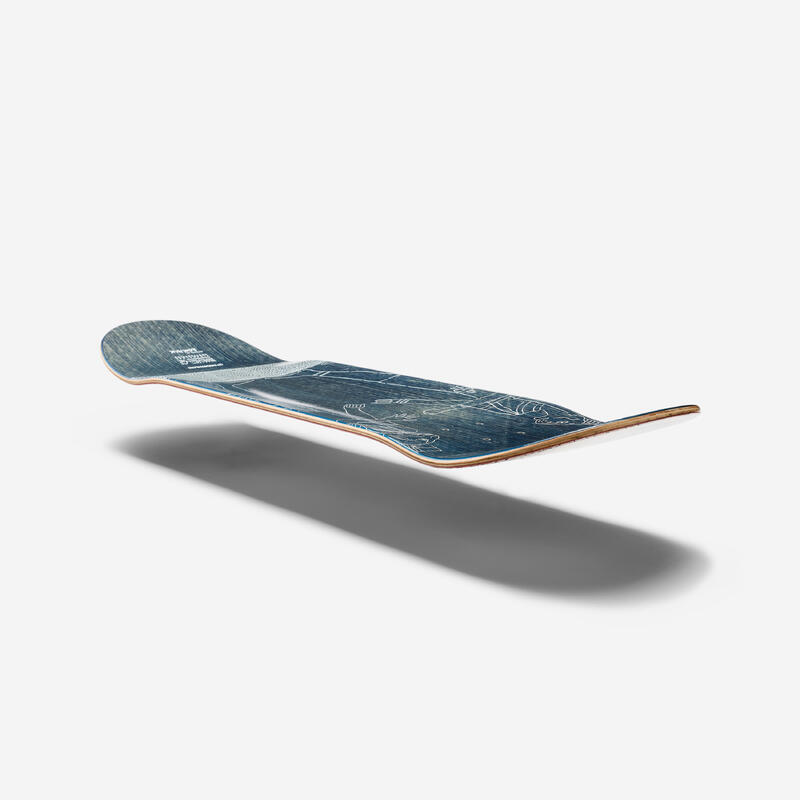 Deska DK900 Gladiators 8,5" s grafikou ROM-AV-JC
