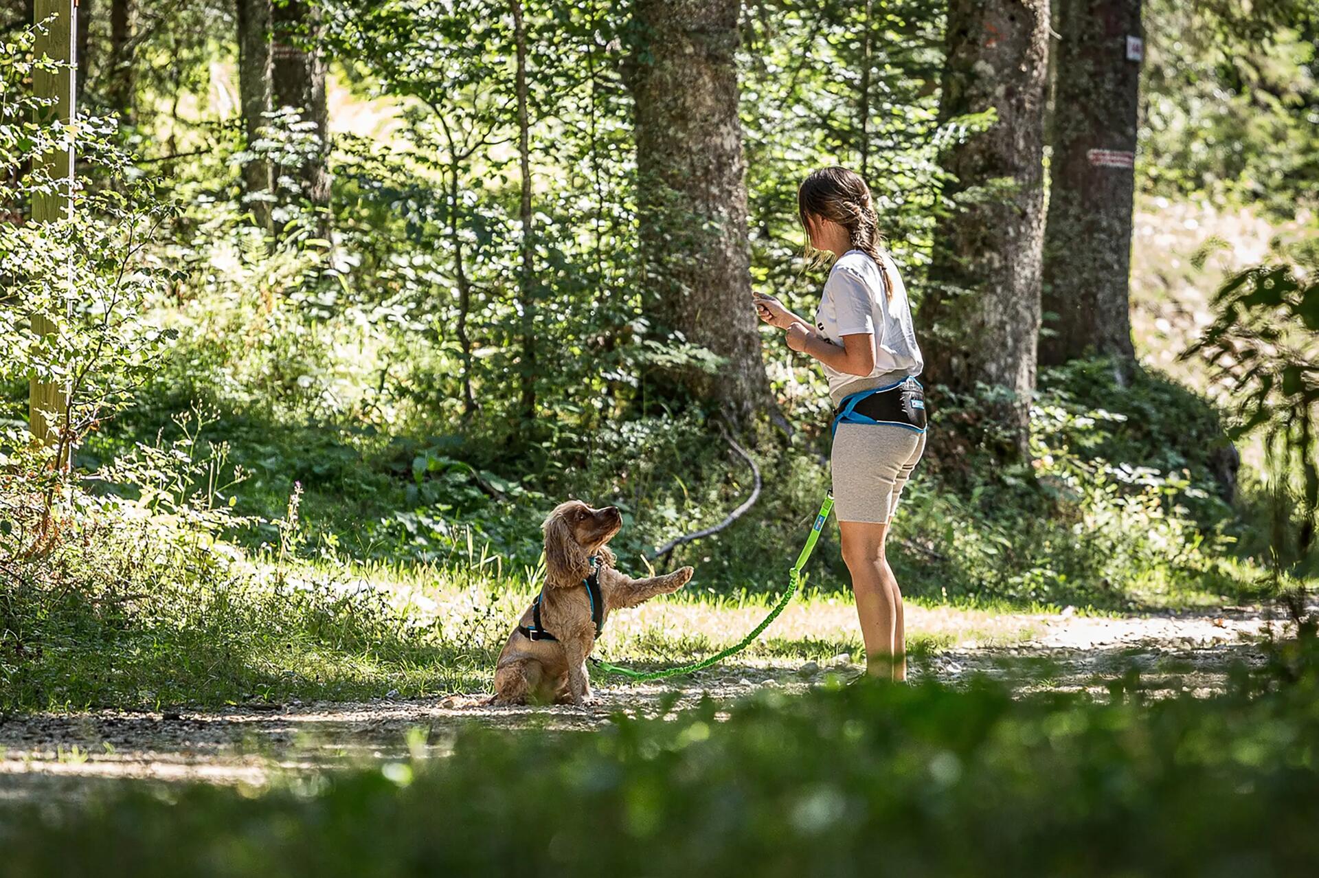 courir avec son chien