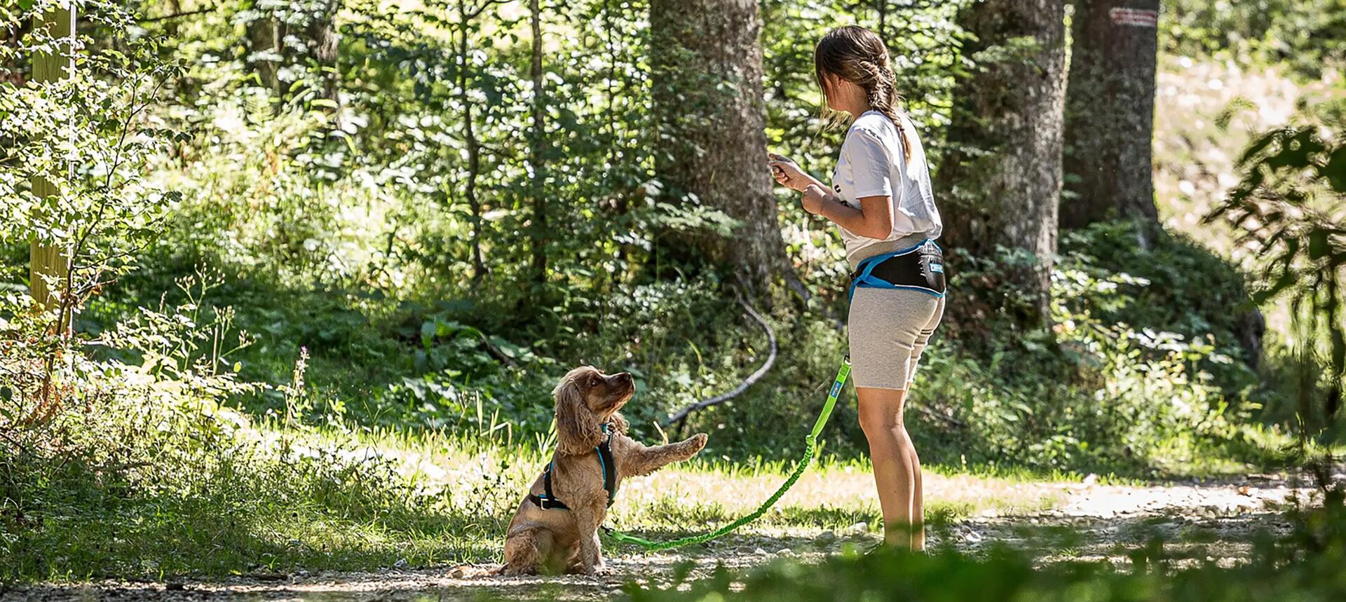mujer paseando con perro