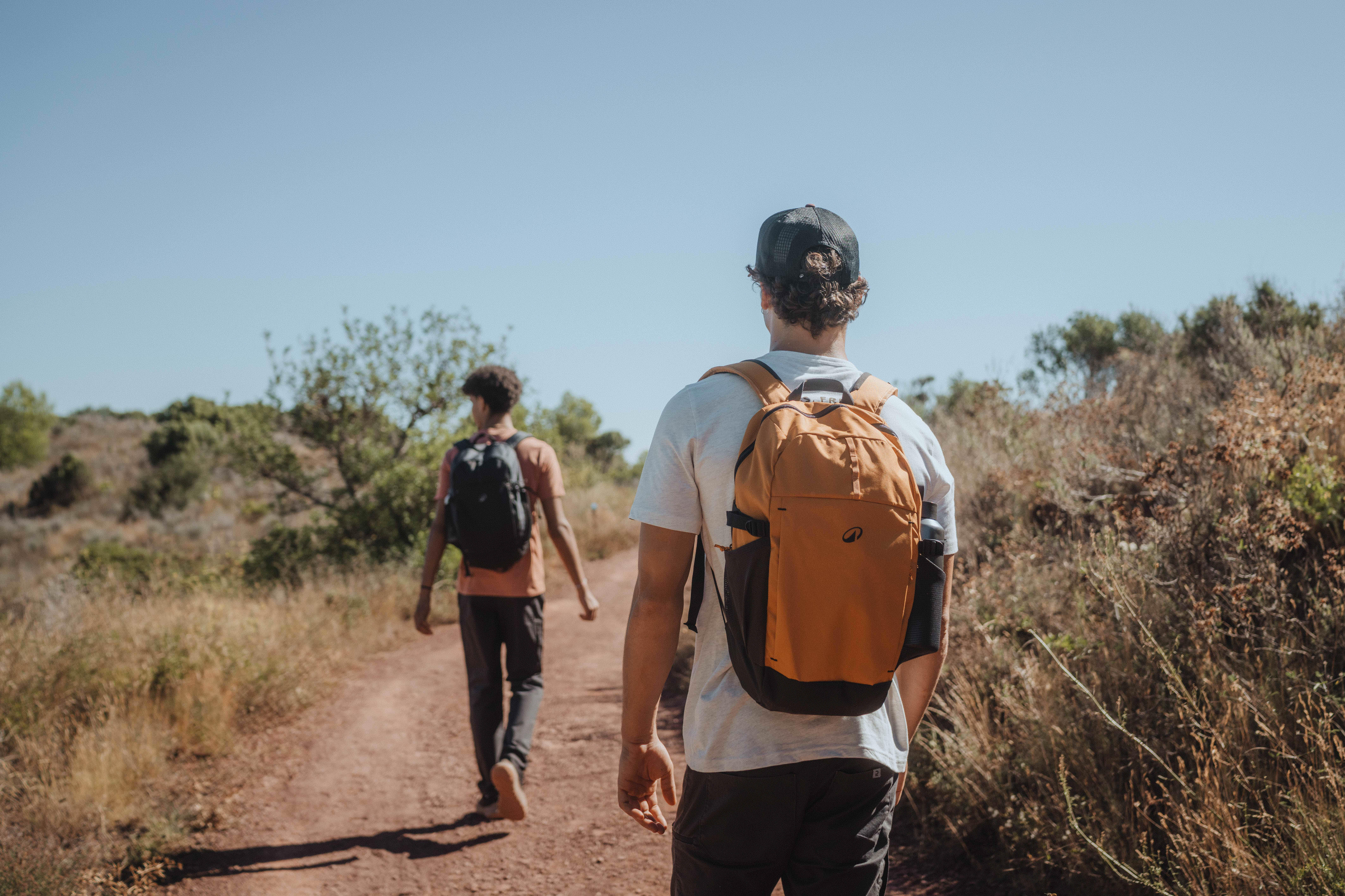 20 L backpack, Arpenaz 100 - Brown