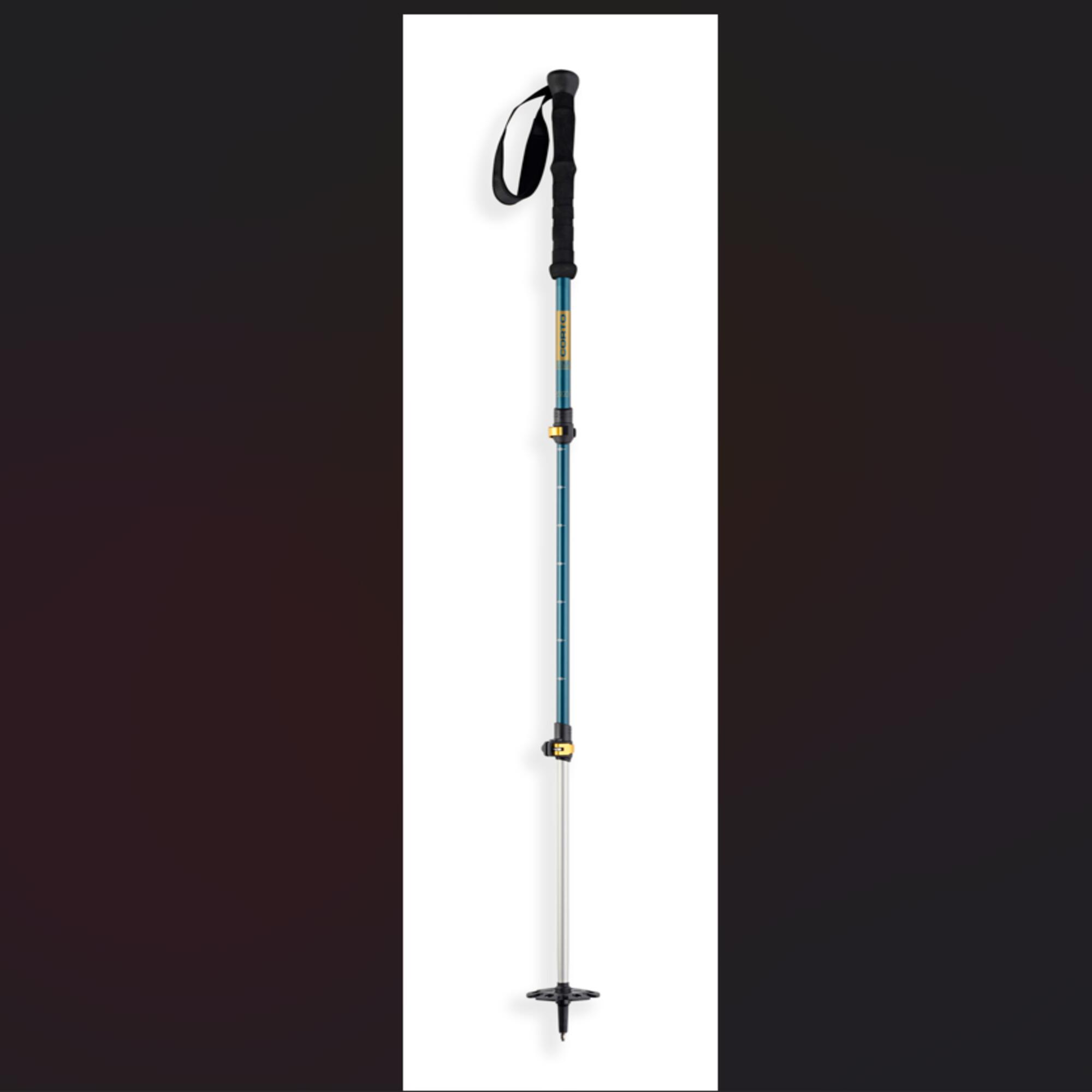 *FR paire de bâtons FUJI Alu