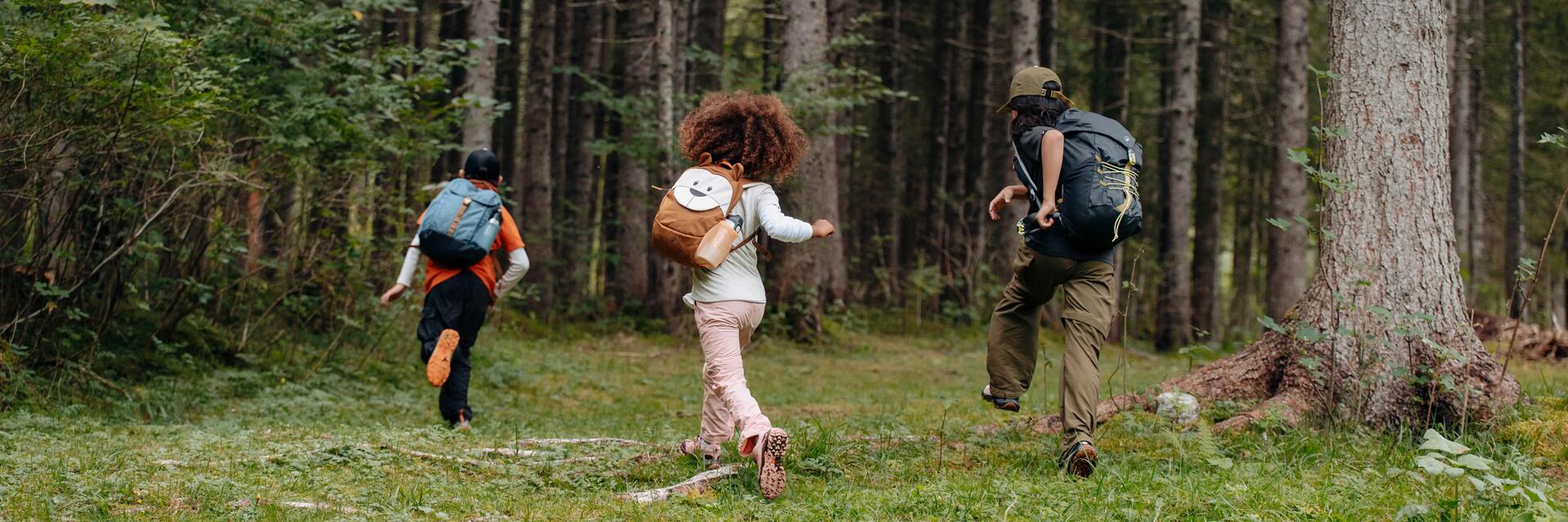 senderismo con niños por el bosque