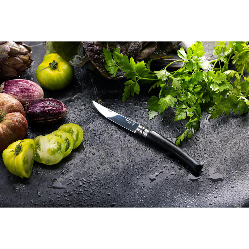 Cuţit Opinel n°10  Inox 10 cm Mâner Abanos Pliabil lamă conică 