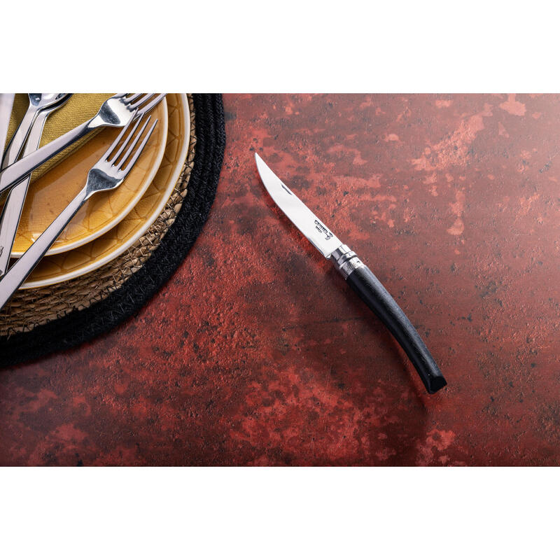 Cuţit Opinel n°10  Inox 10 cm Mâner Abanos Pliabil lamă conică 
