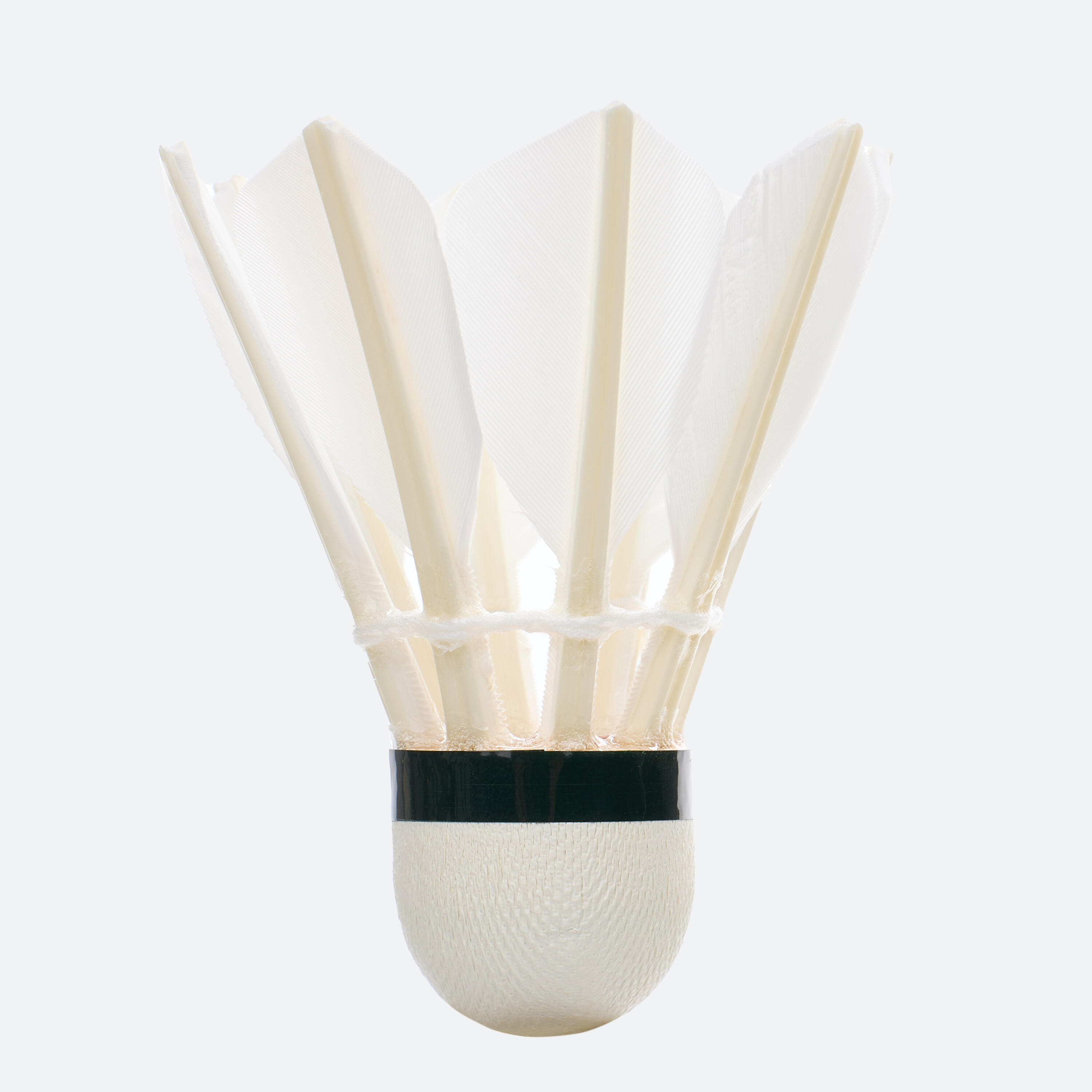 Lot de 12 Volants de Badminton Plumes FSC 50 3/12